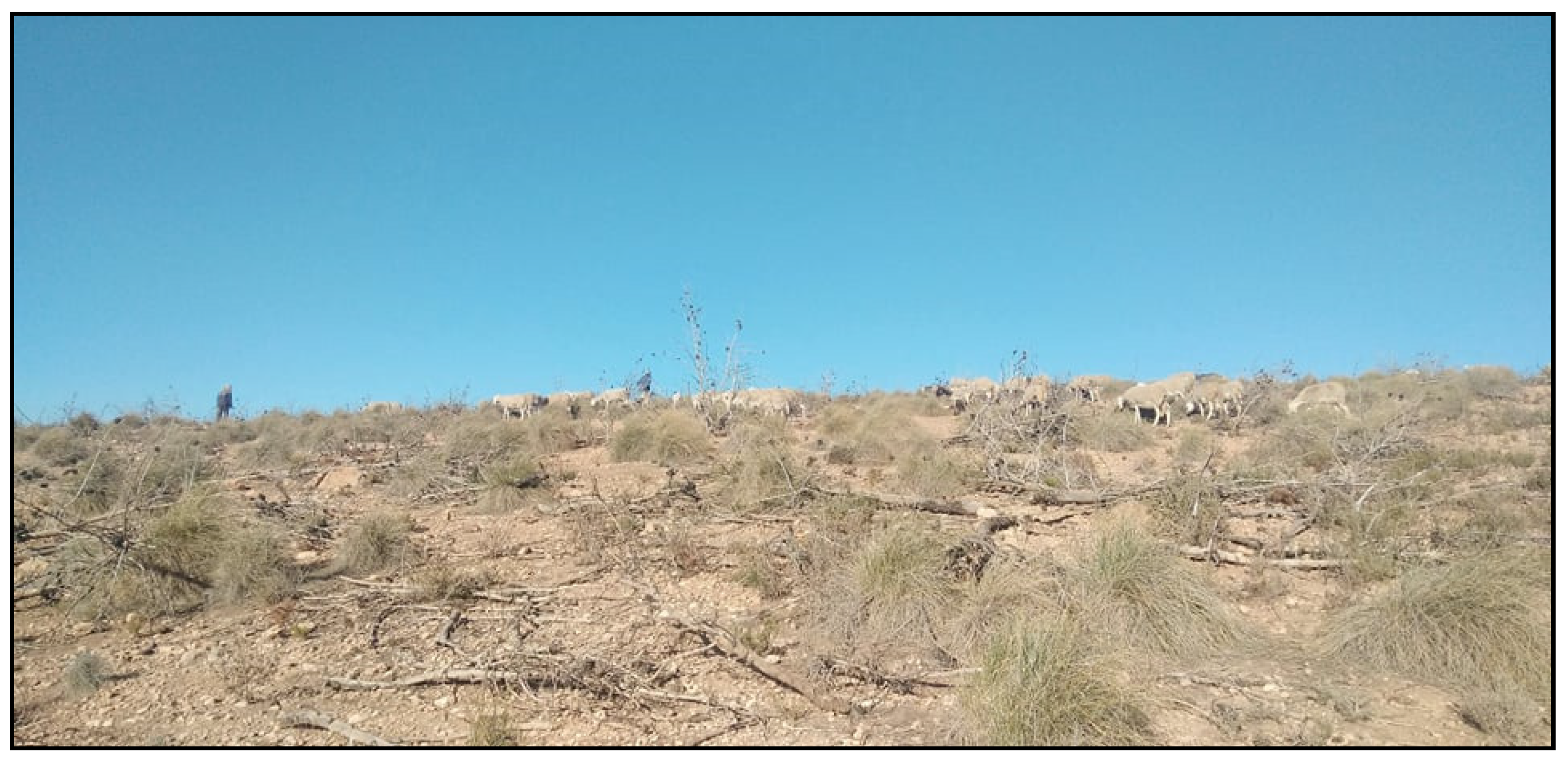 Sustainability 13 07761 g012 Sustainability 13 07761 g012