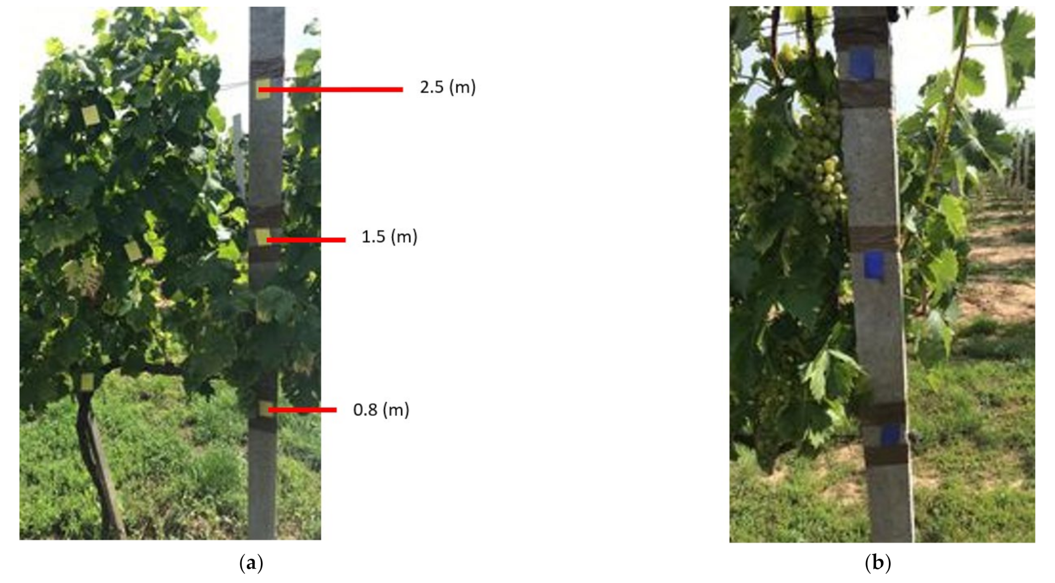 Sustainability 13 07780 g002