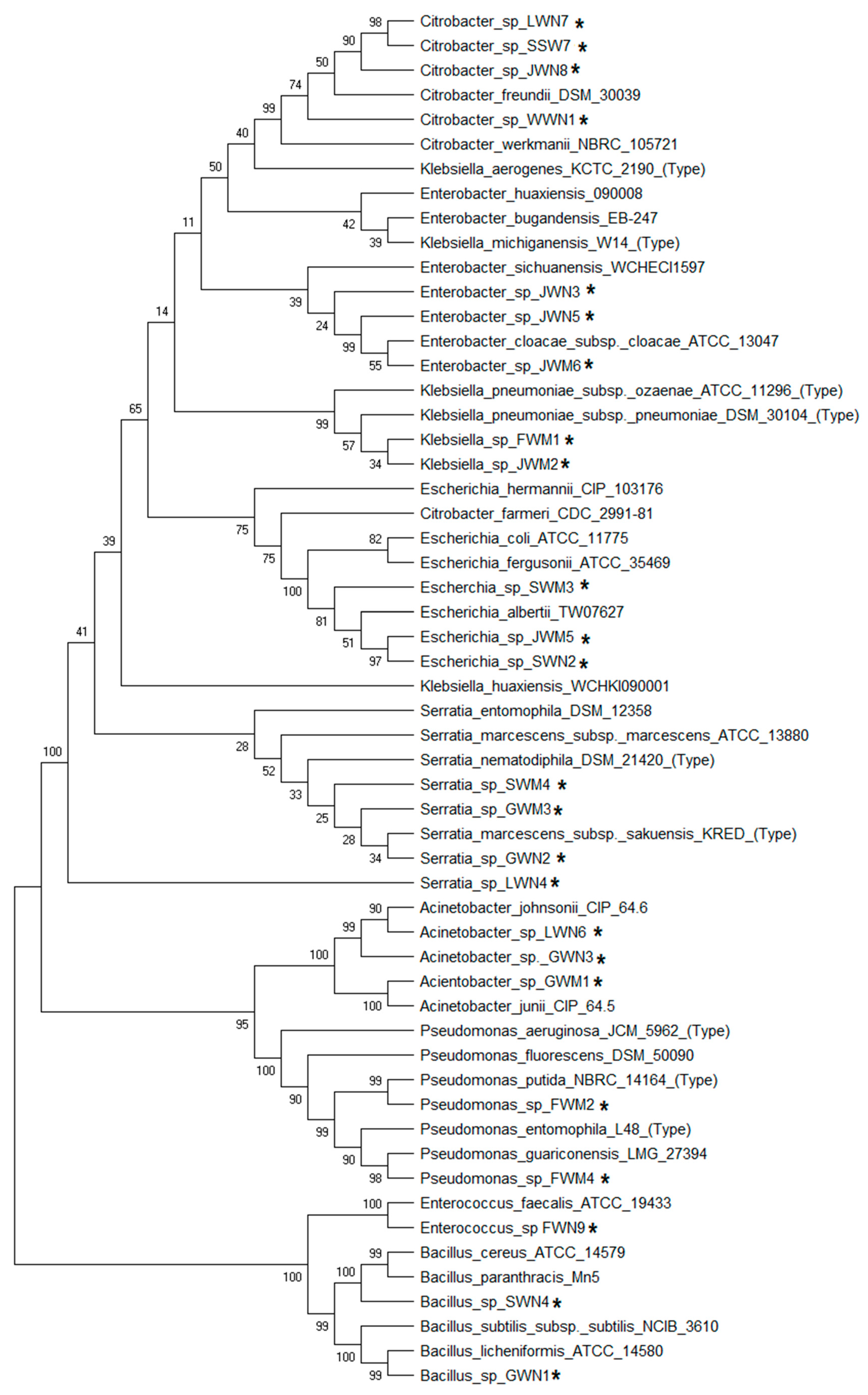 Sustainability 13 07792 g004 Sustainability 13 07792 g004