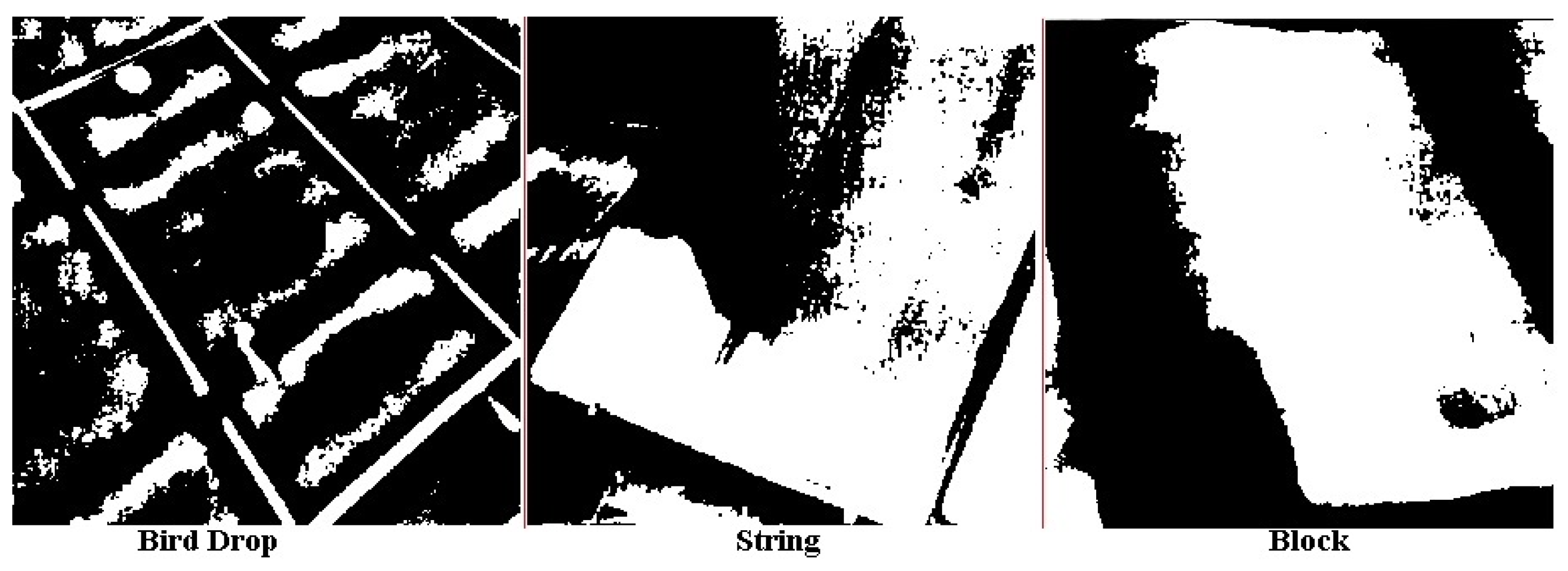 Sustainability 13 07793 g002