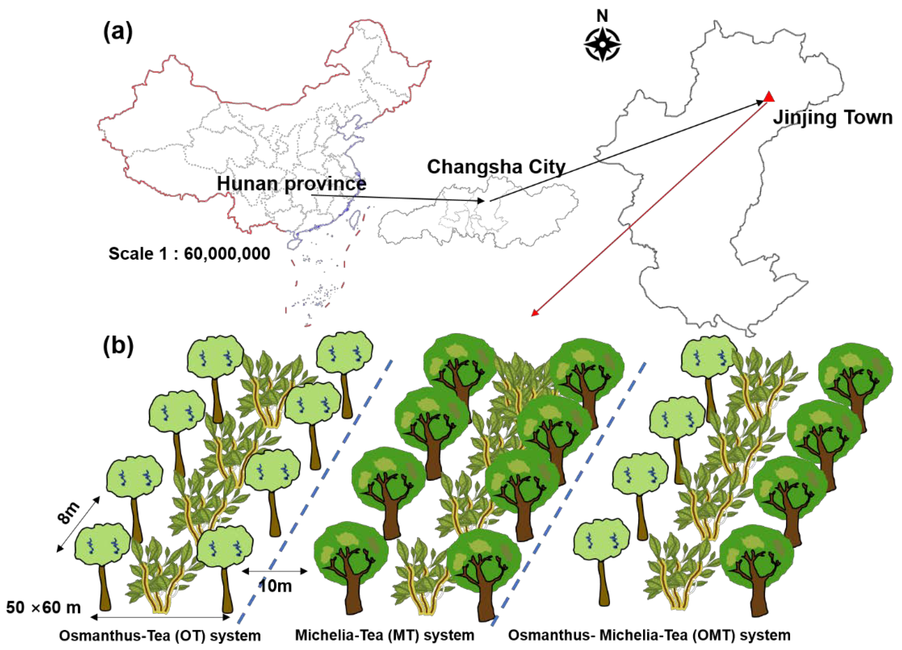 Sustainability 13 07799 g001