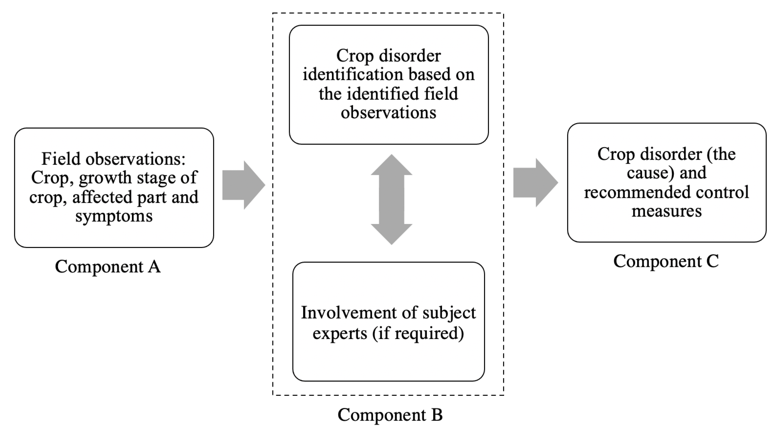 Sustainability 13 07823 g002