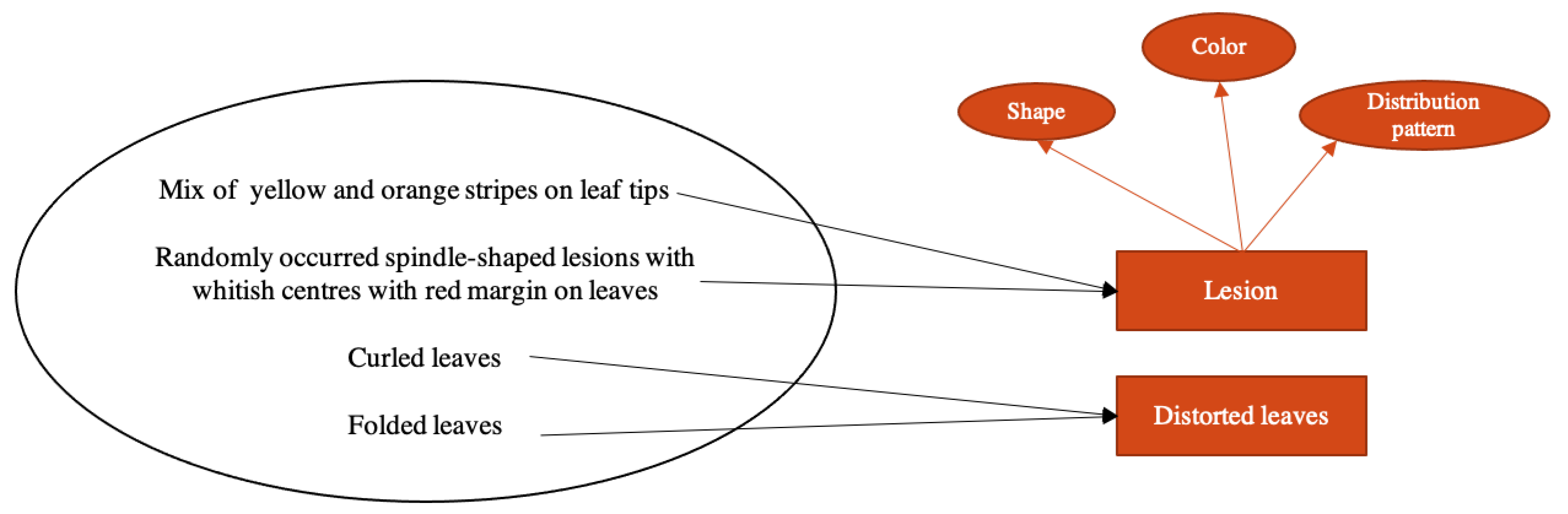 Sustainability 13 07823 g003