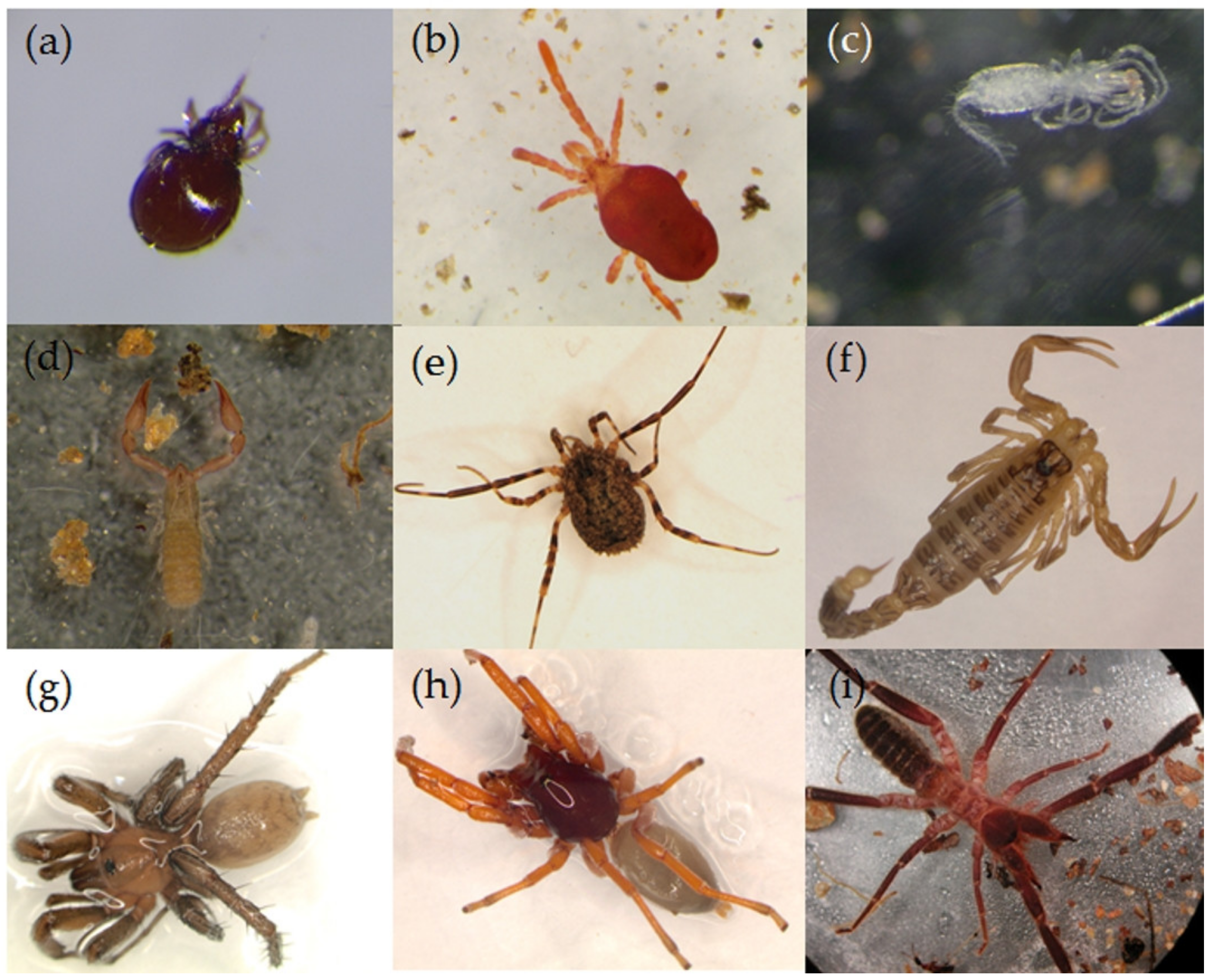 Sustainability 13 07837 g002 Sustainability 13 07837 g002