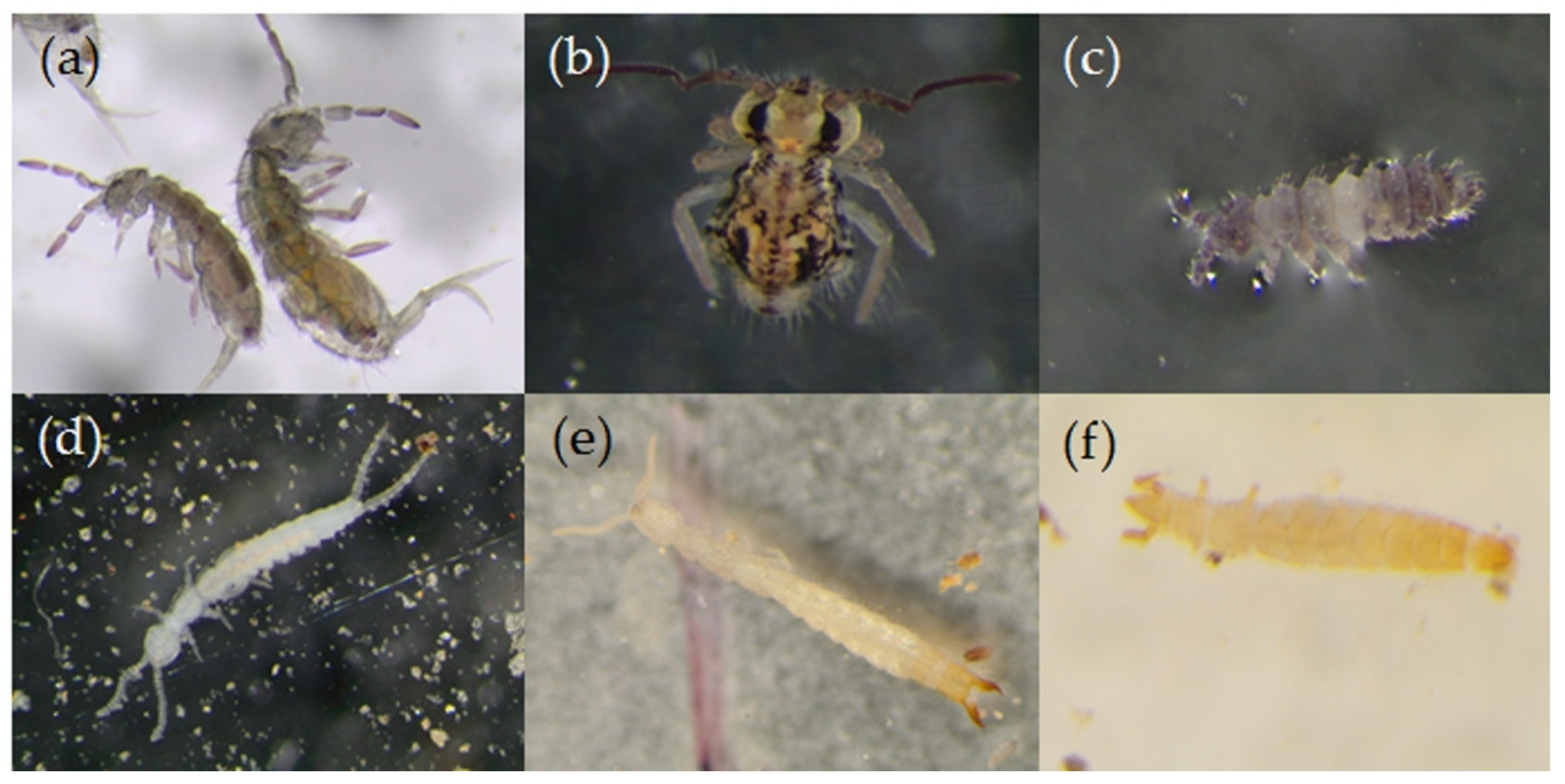 Sustainability 13 07837 g004 Sustainability 13 07837 g004