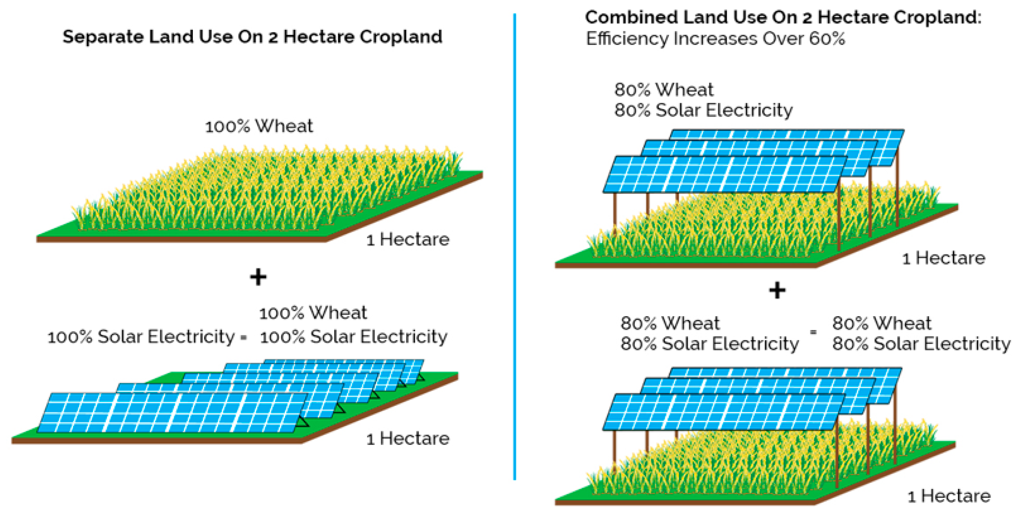 photovoltaic farm business plan