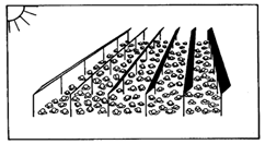 Sustainability 13 07846 i001