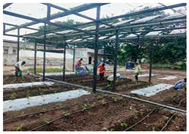 Sustainability 13 07846 i005