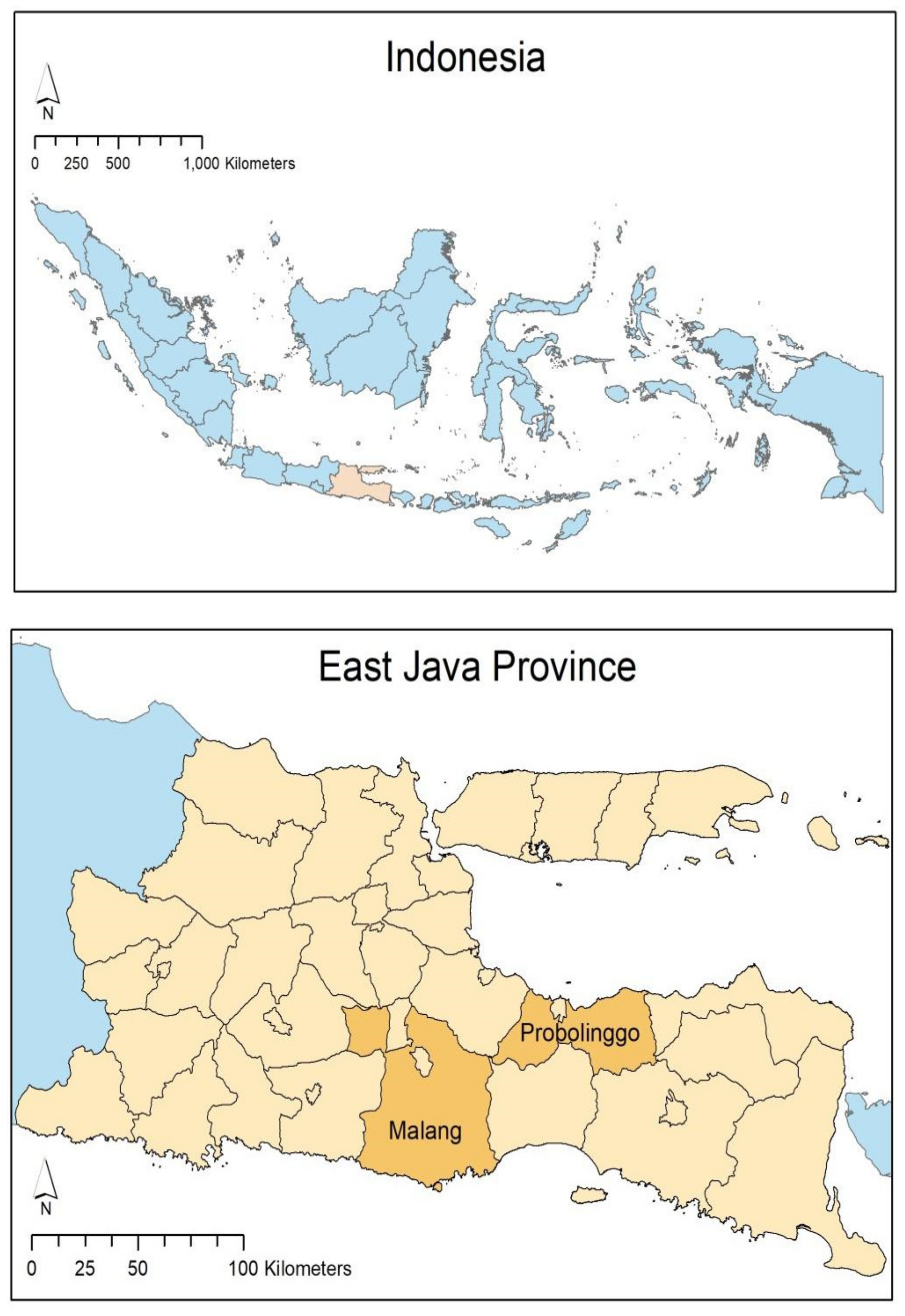 Sustainability 13 07905 g001