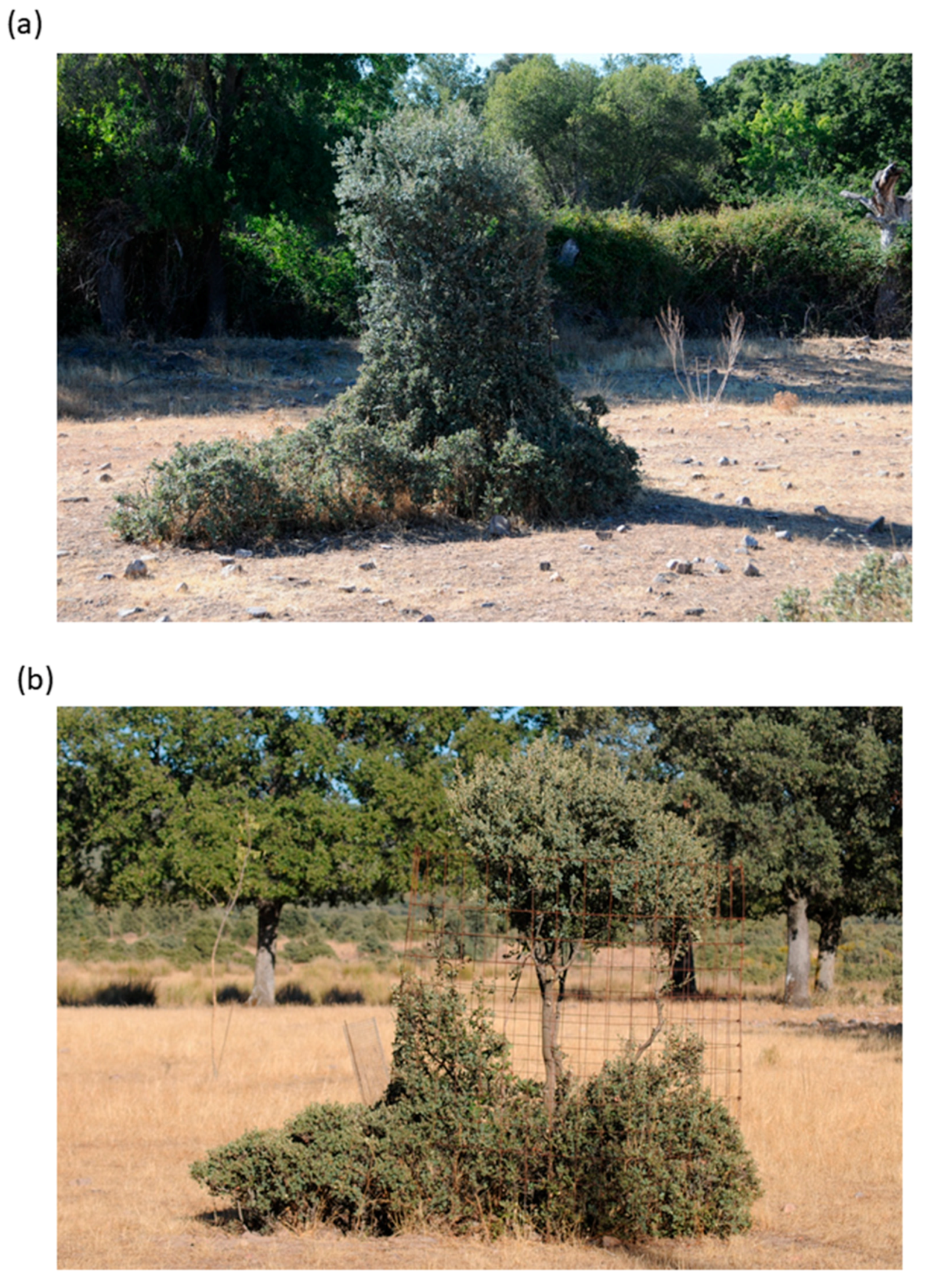 Sustainability 13 07930 g003