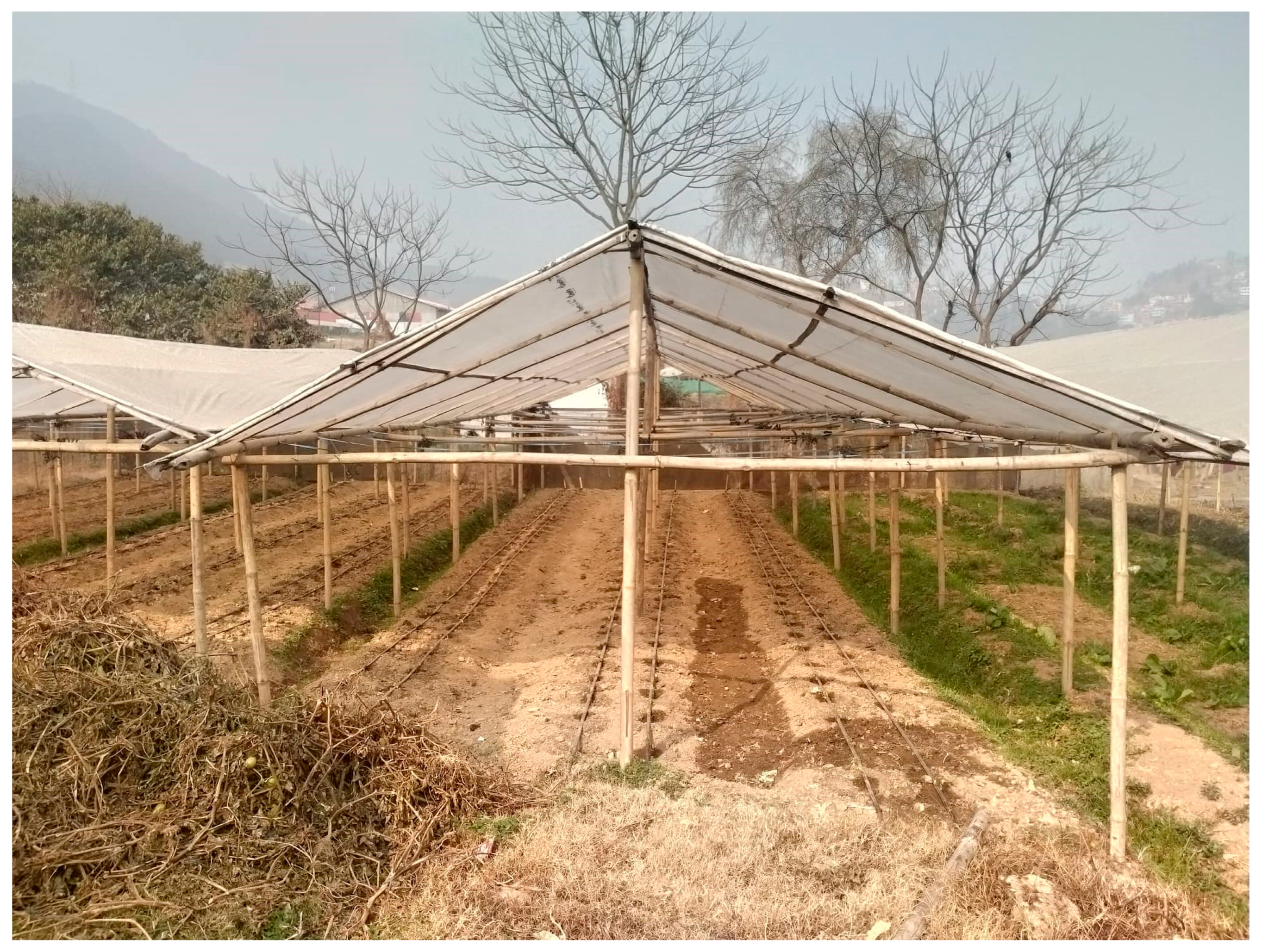 Sustainability 13 07935 g001 Sustainability 13 07935 g001