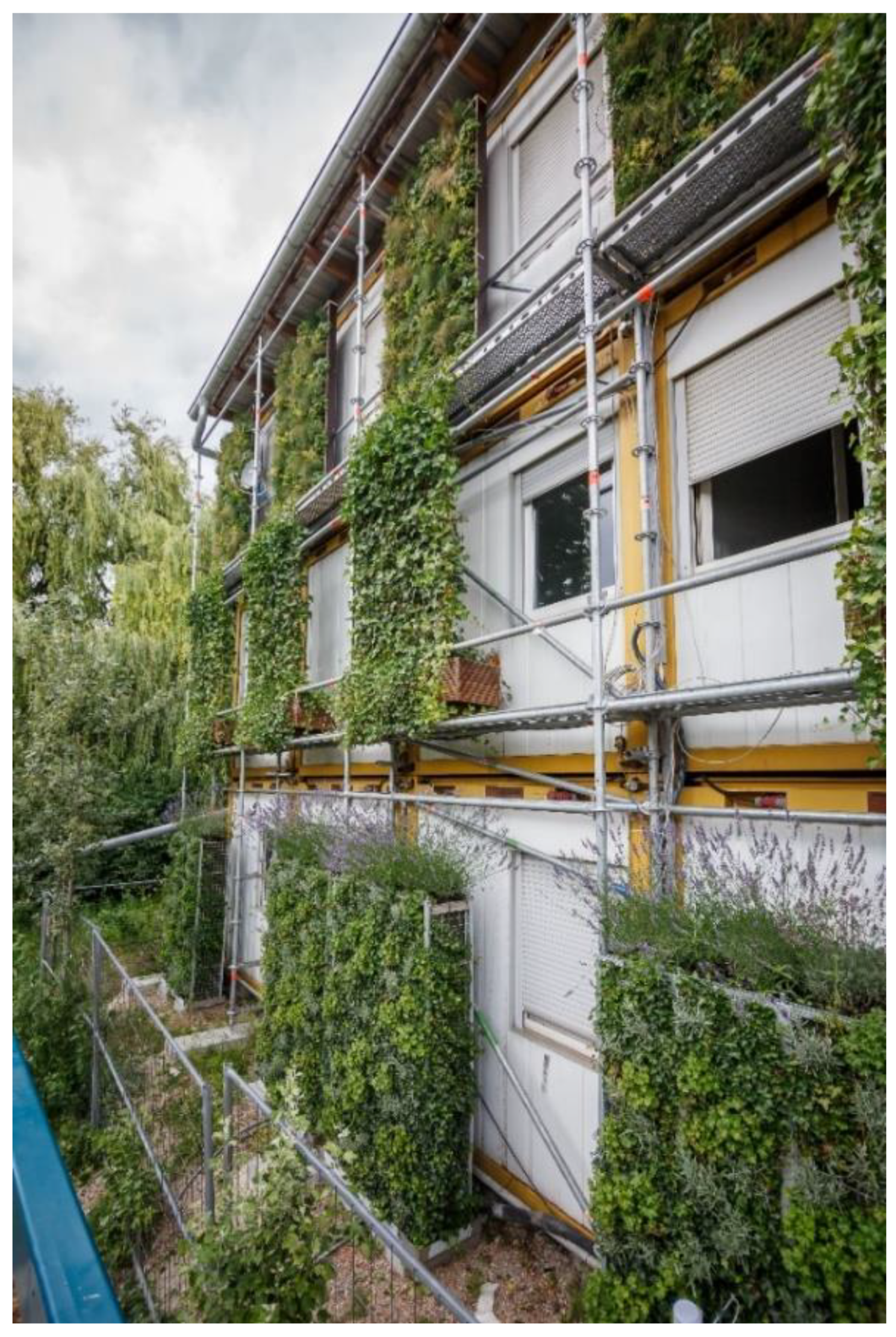 Sustainability 13 07944 g011