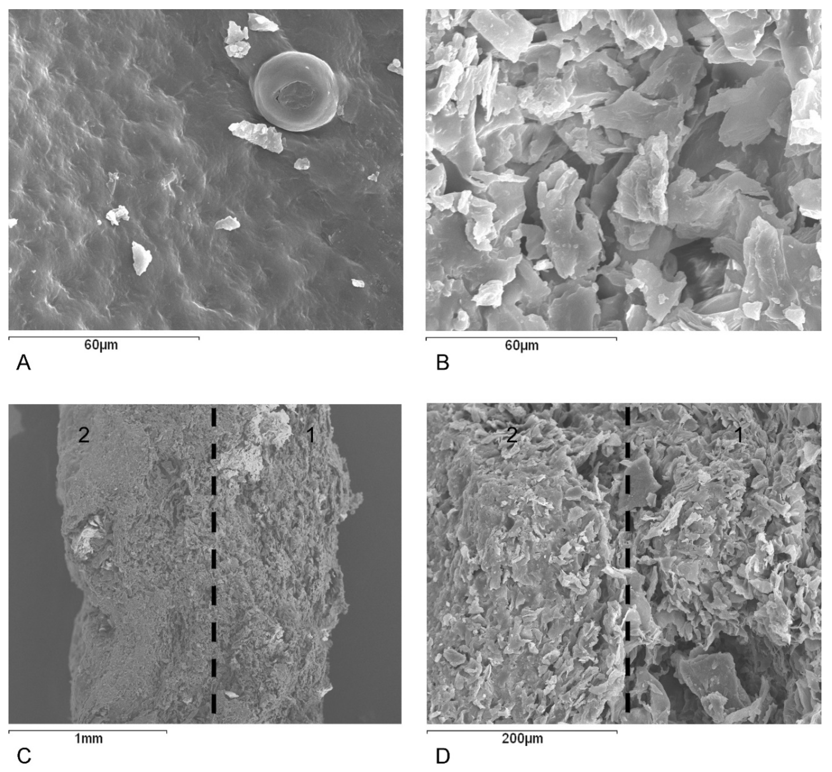 Sustainability 13 07945 g001 550