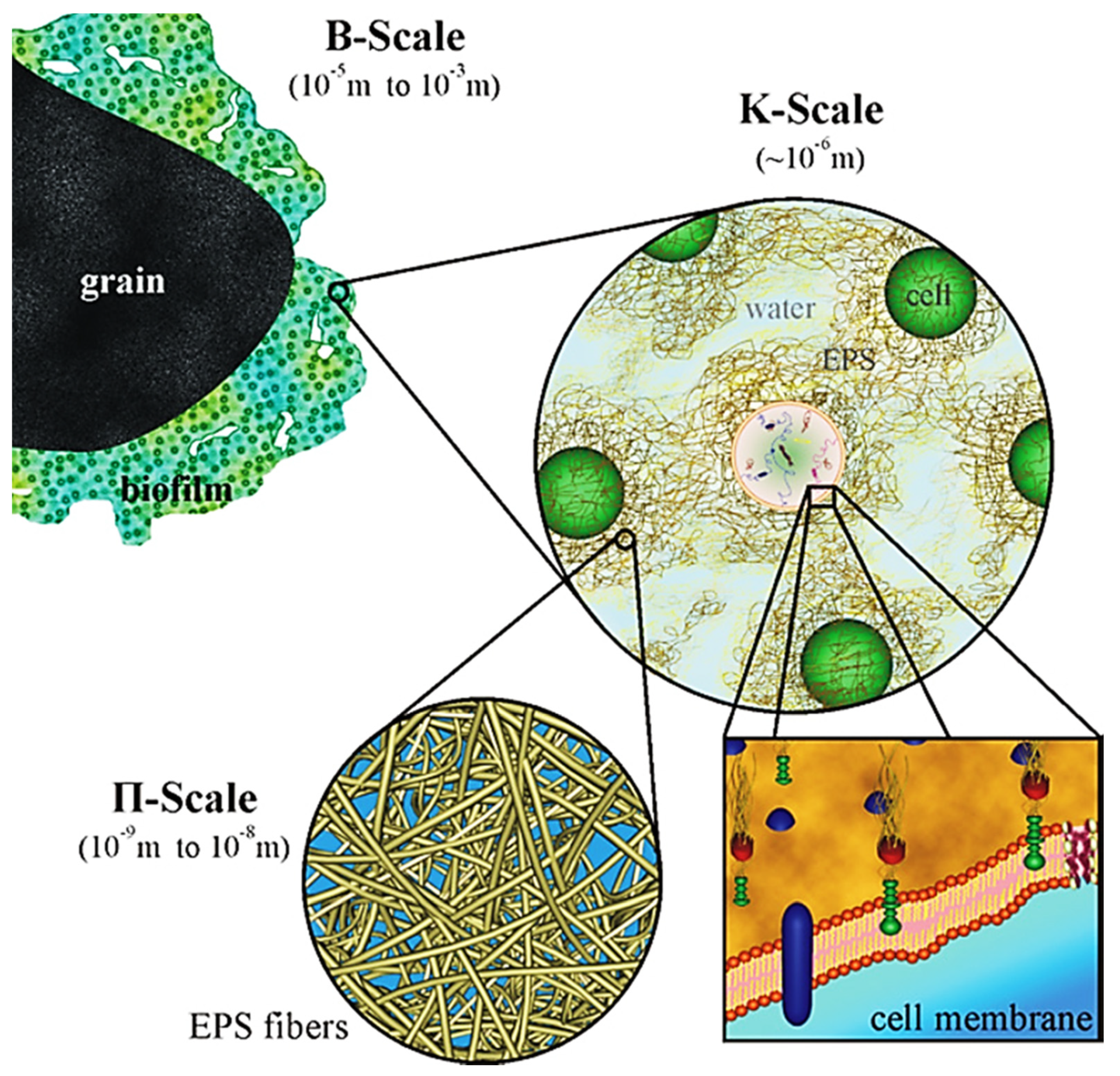 Sustainability 13 07968 g001 Sustainability 13 07968 g001