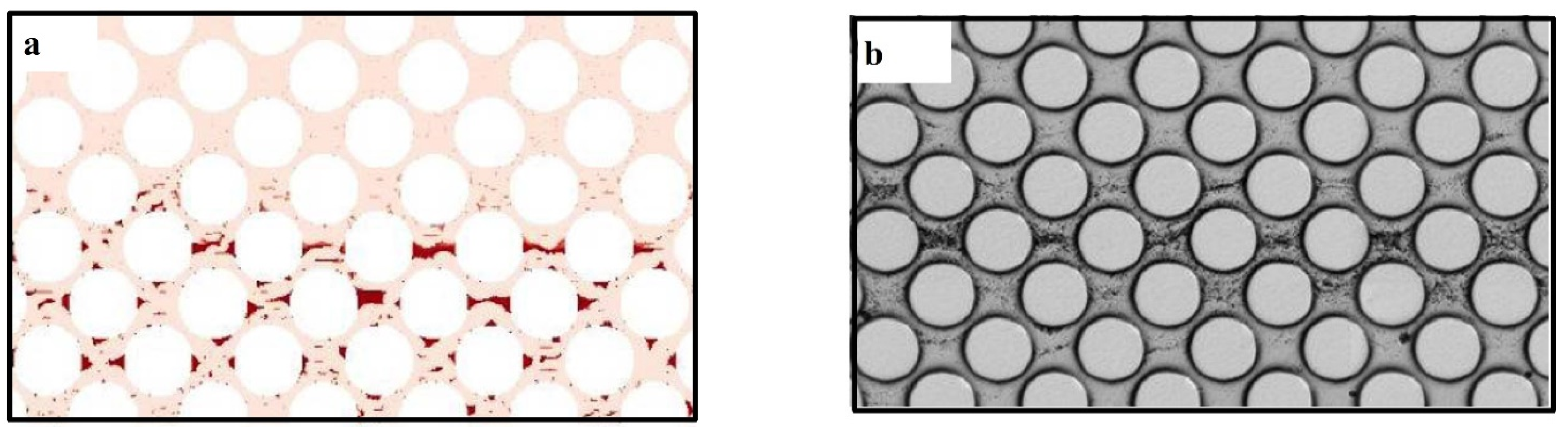 Sustainability 13 07968 g008 Sustainability 13 07968 g008