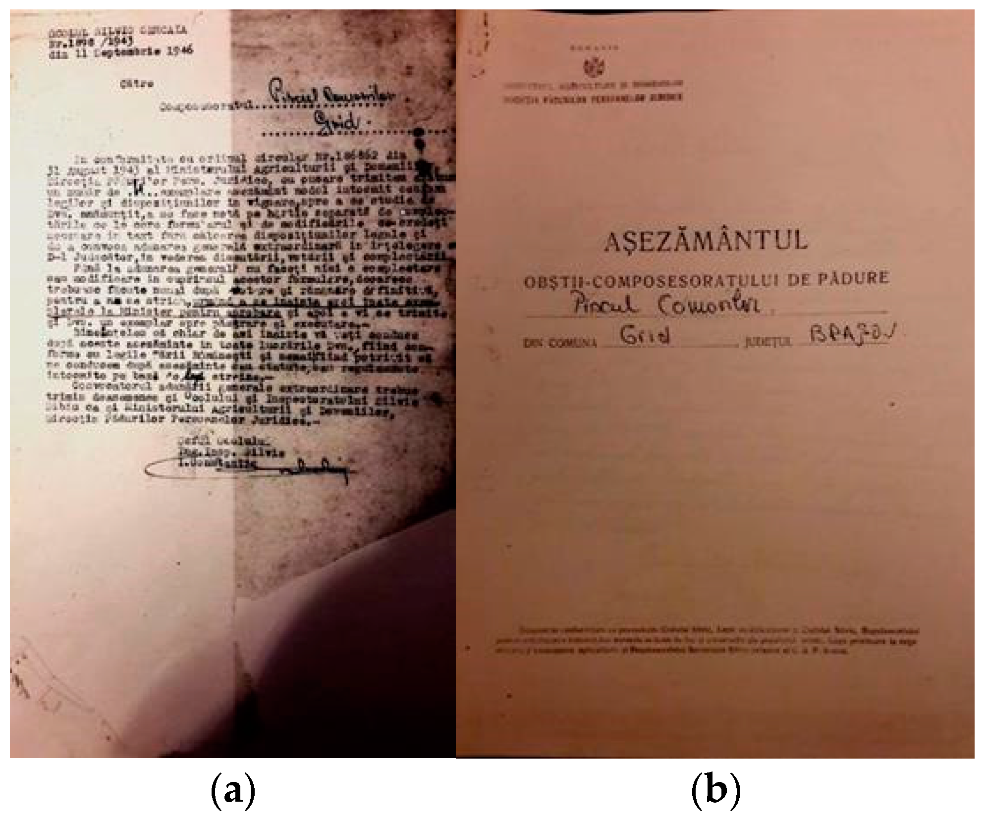 Sustainability 13 08012 g003 550