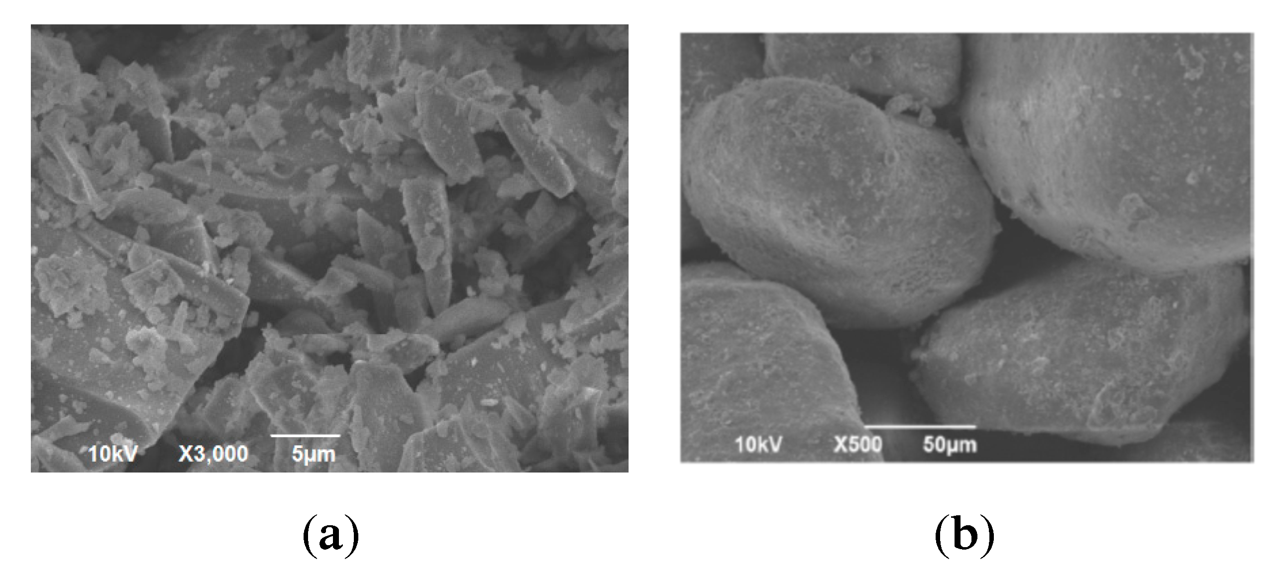 Sustainability 13 08017 g002