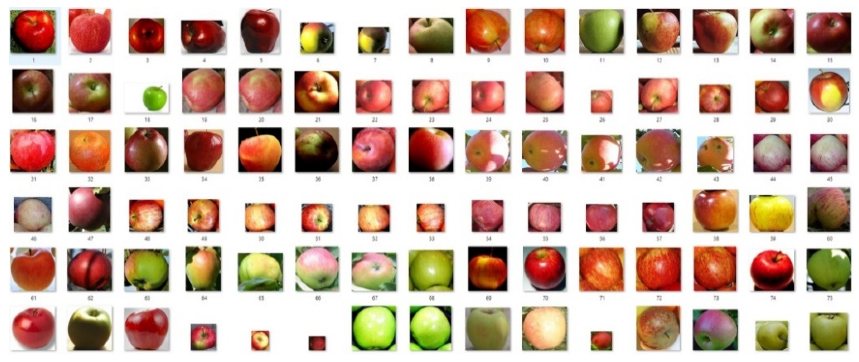 Sustainability 13 08054 g003