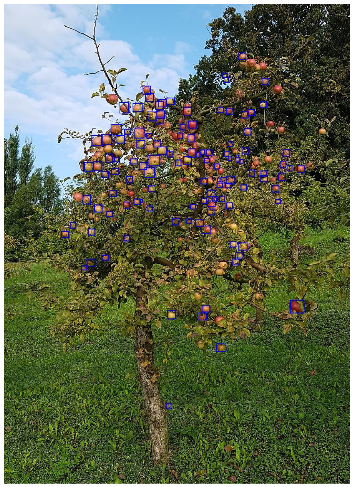 Sustainability 13 08054 g005