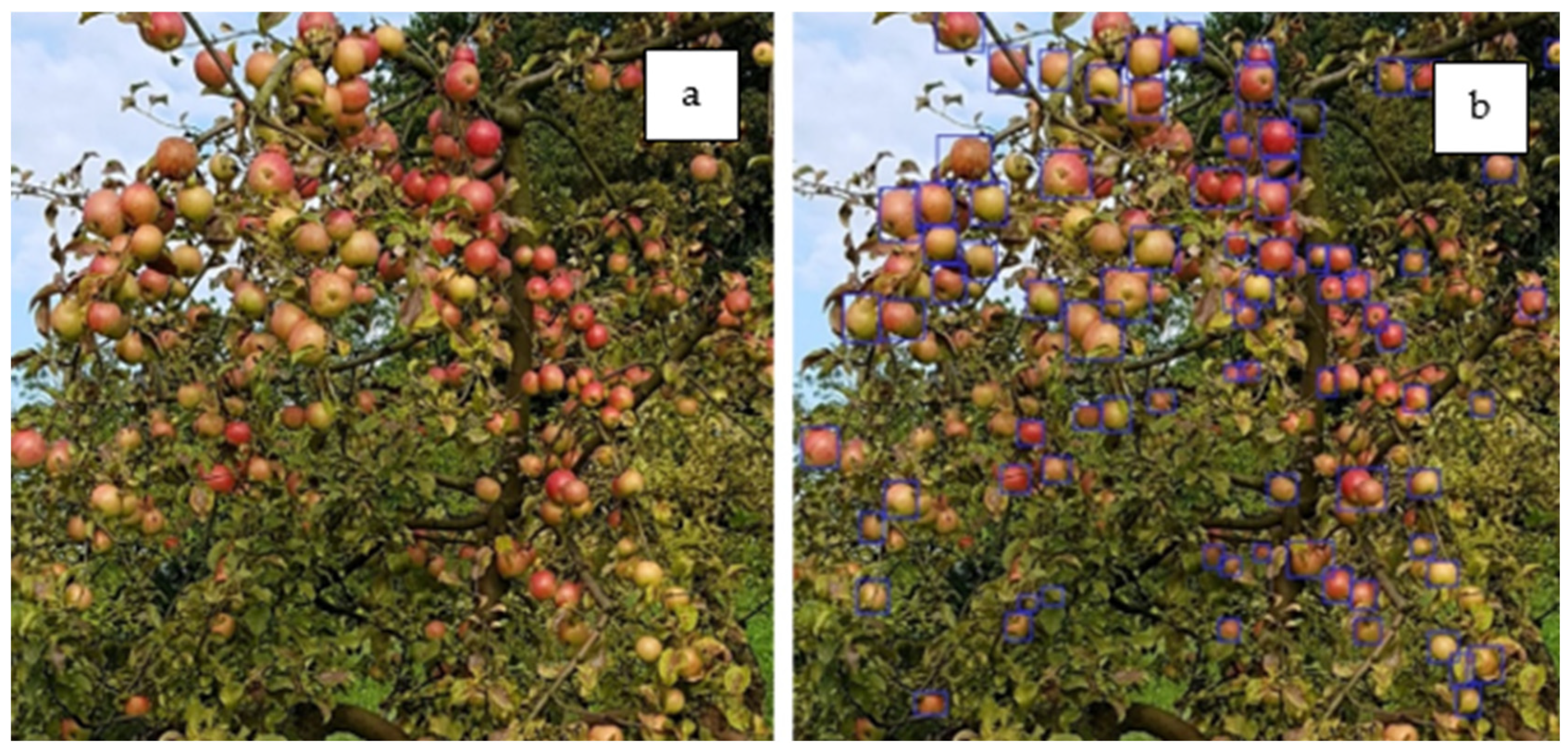 Sustainability 13 08054 g007