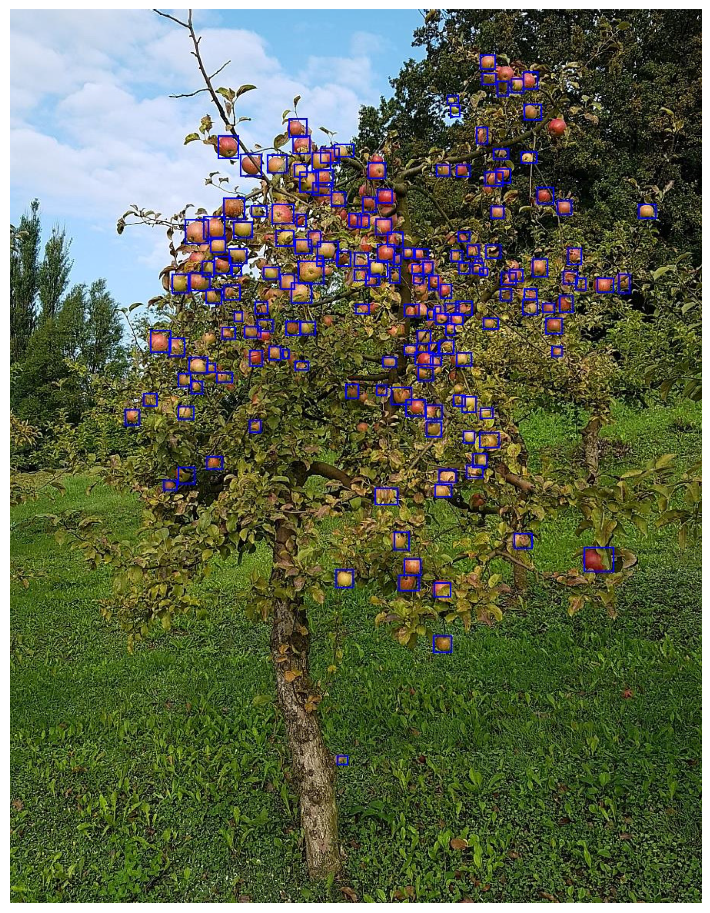 Sustainability 13 08054 g008