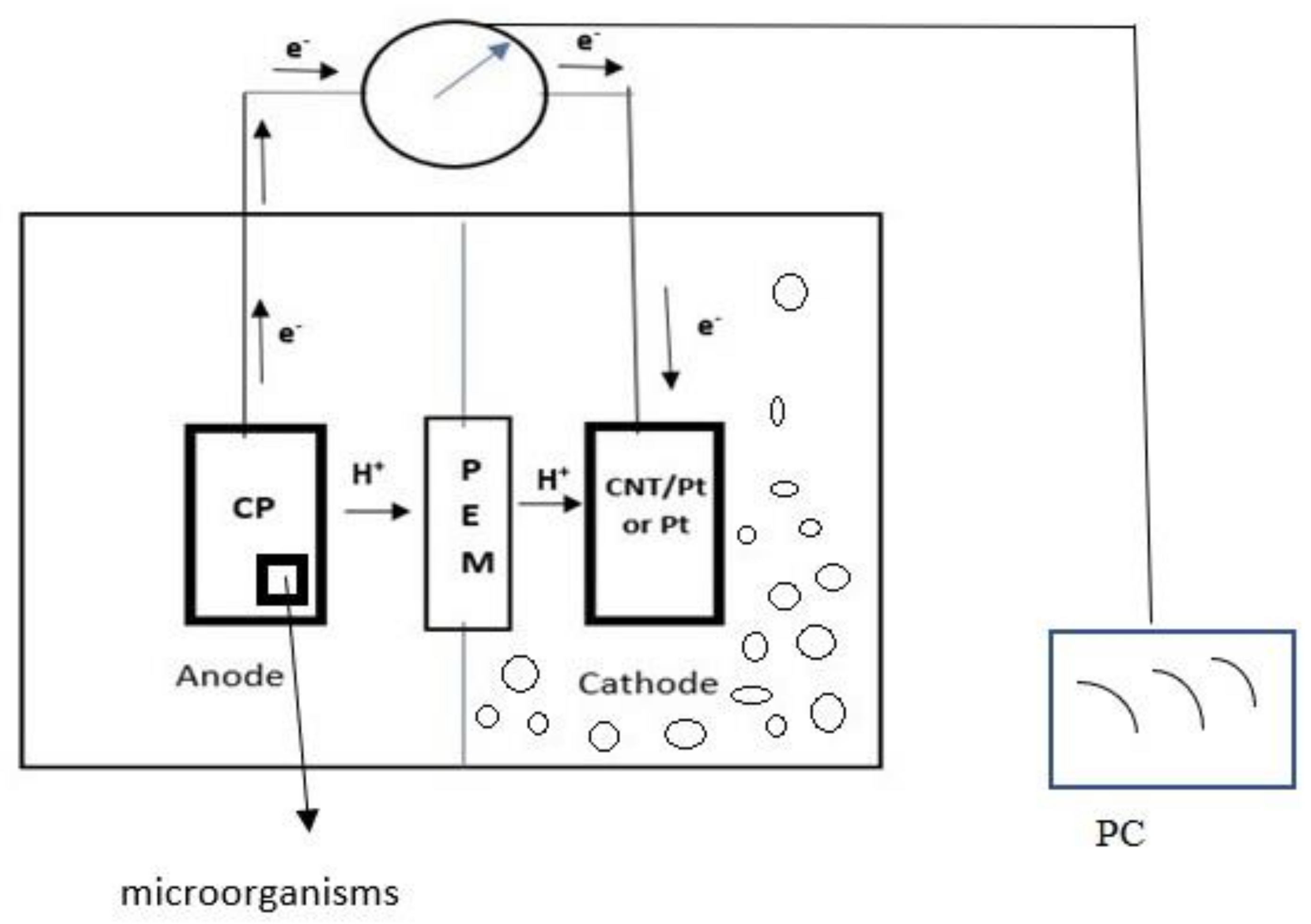 Sustainability 13 08057 g001 Sustainability 13 08057 g001
