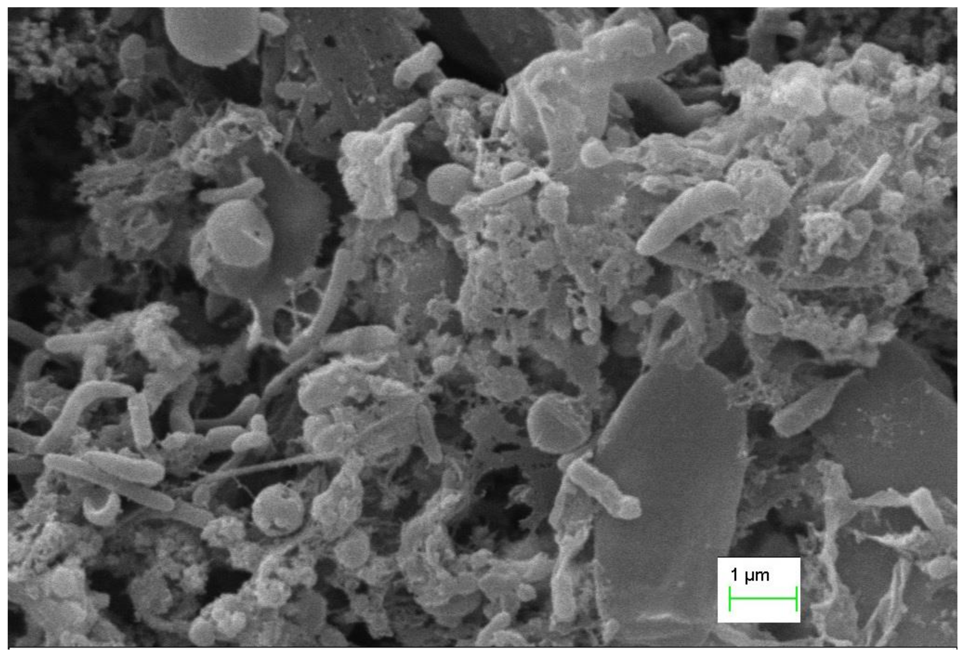 Sustainability 13 08057 g003 Sustainability 13 08057 g003