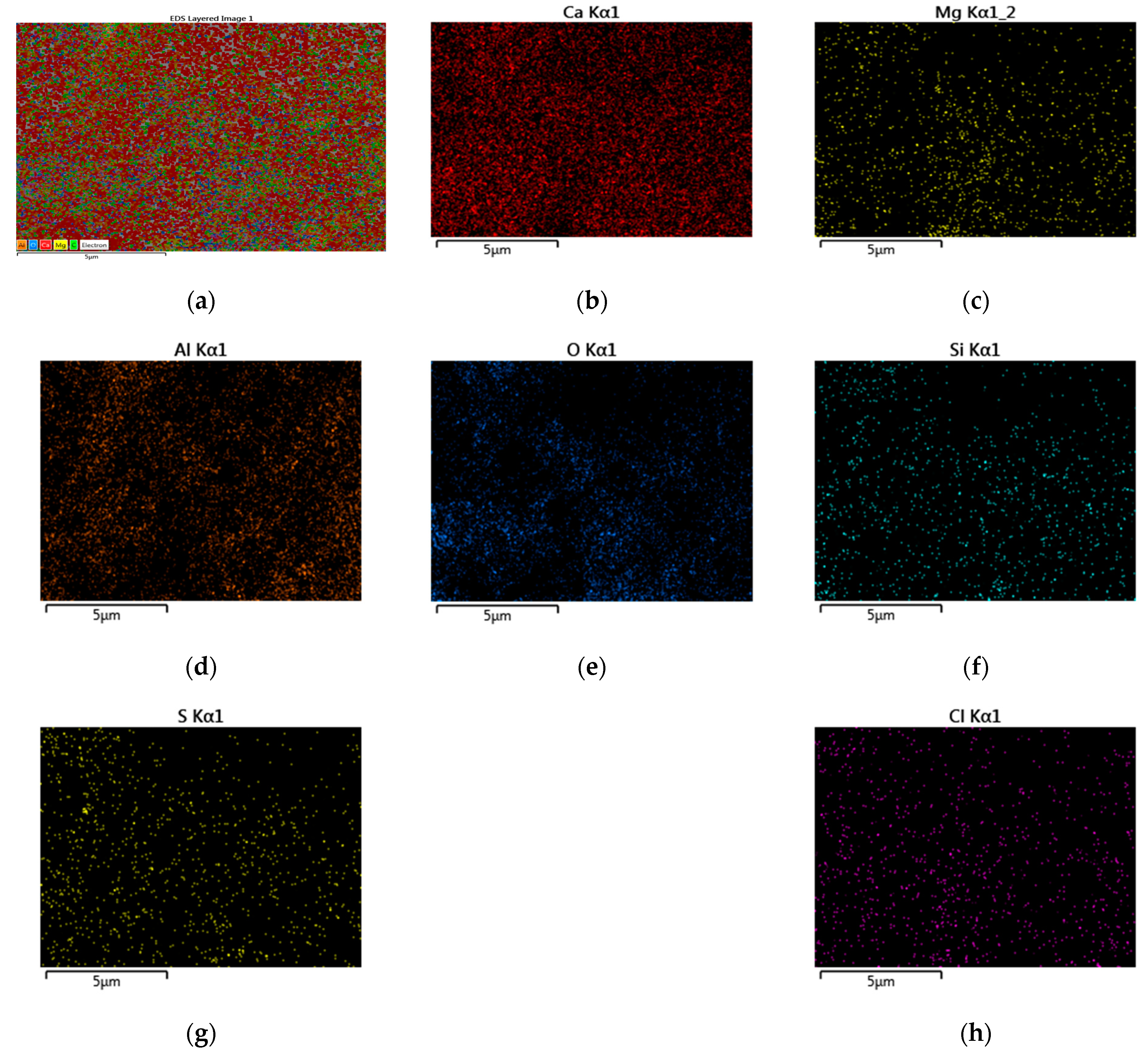 Sustainability 13 08068 g005