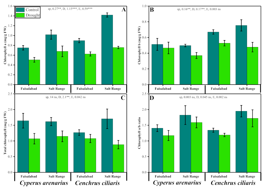 Sustainability 13 08069 g002 Sustainability 13 08069 g002