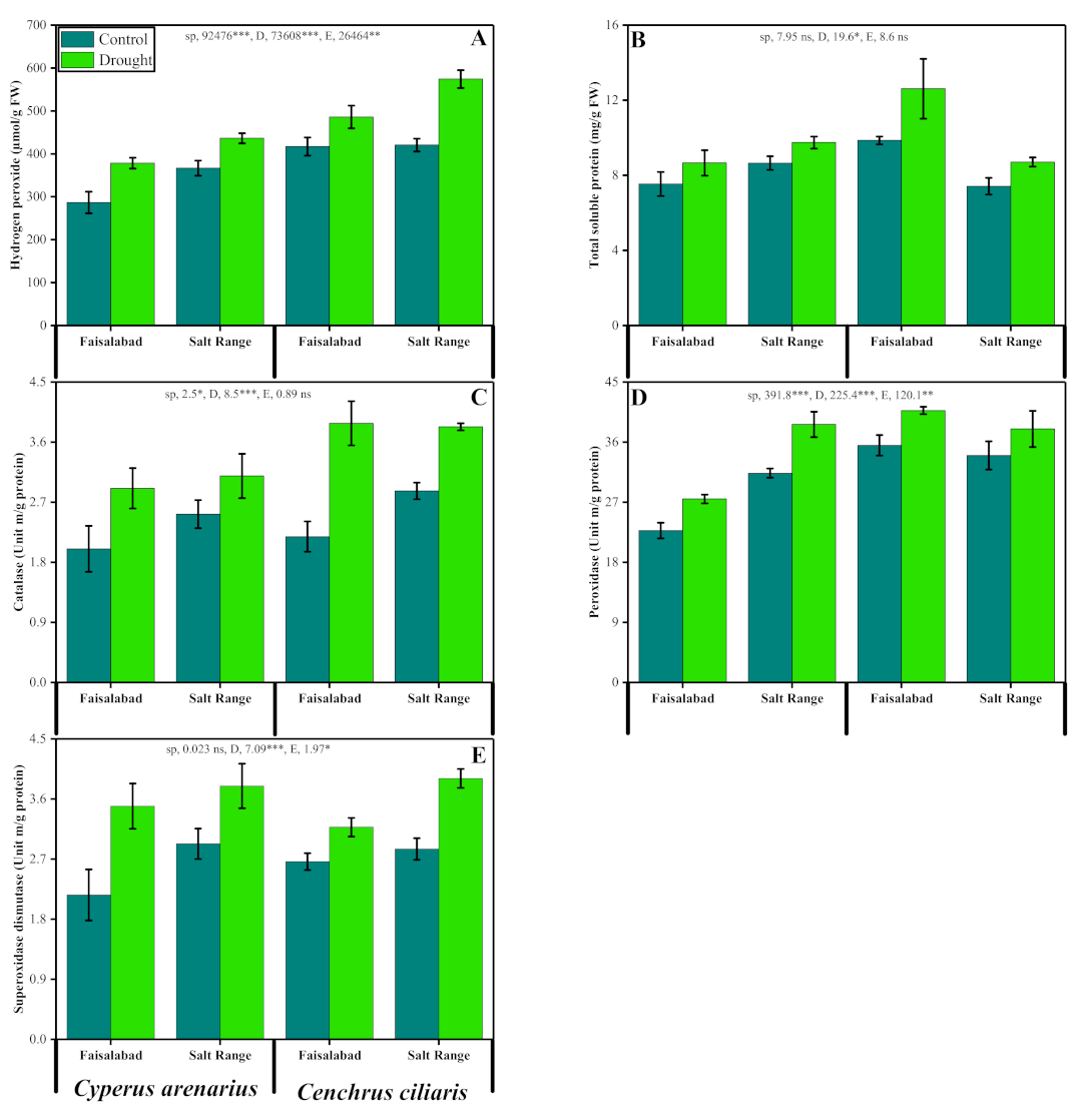 Sustainability 13 08069 g004 Sustainability 13 08069 g004