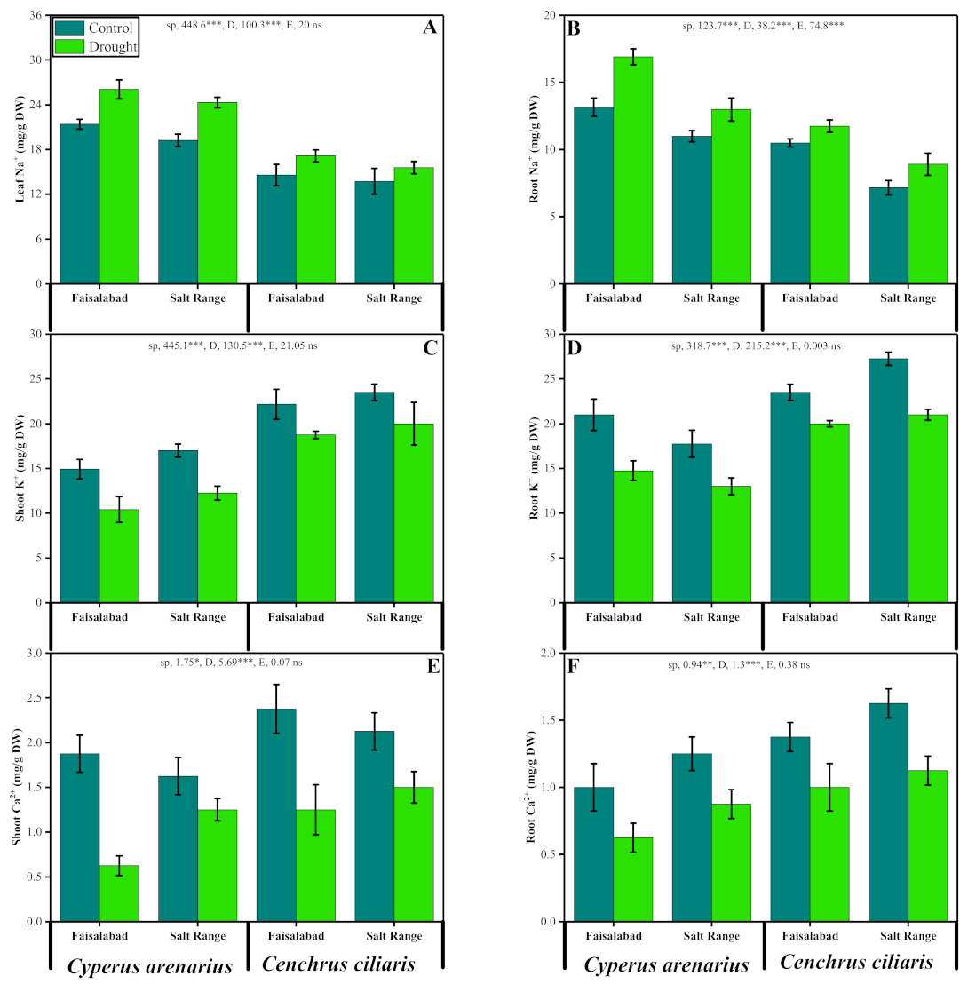 Sustainability 13 08069 g005 Sustainability 13 08069 g005