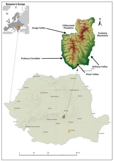 Costumes future rack Sustainability | Free Full-Text | Environmental Sustainability and the  Inclusion of Geomorphosites in Tourist Activity—Case Study: The Baiului  Mountains, Romania | HTML