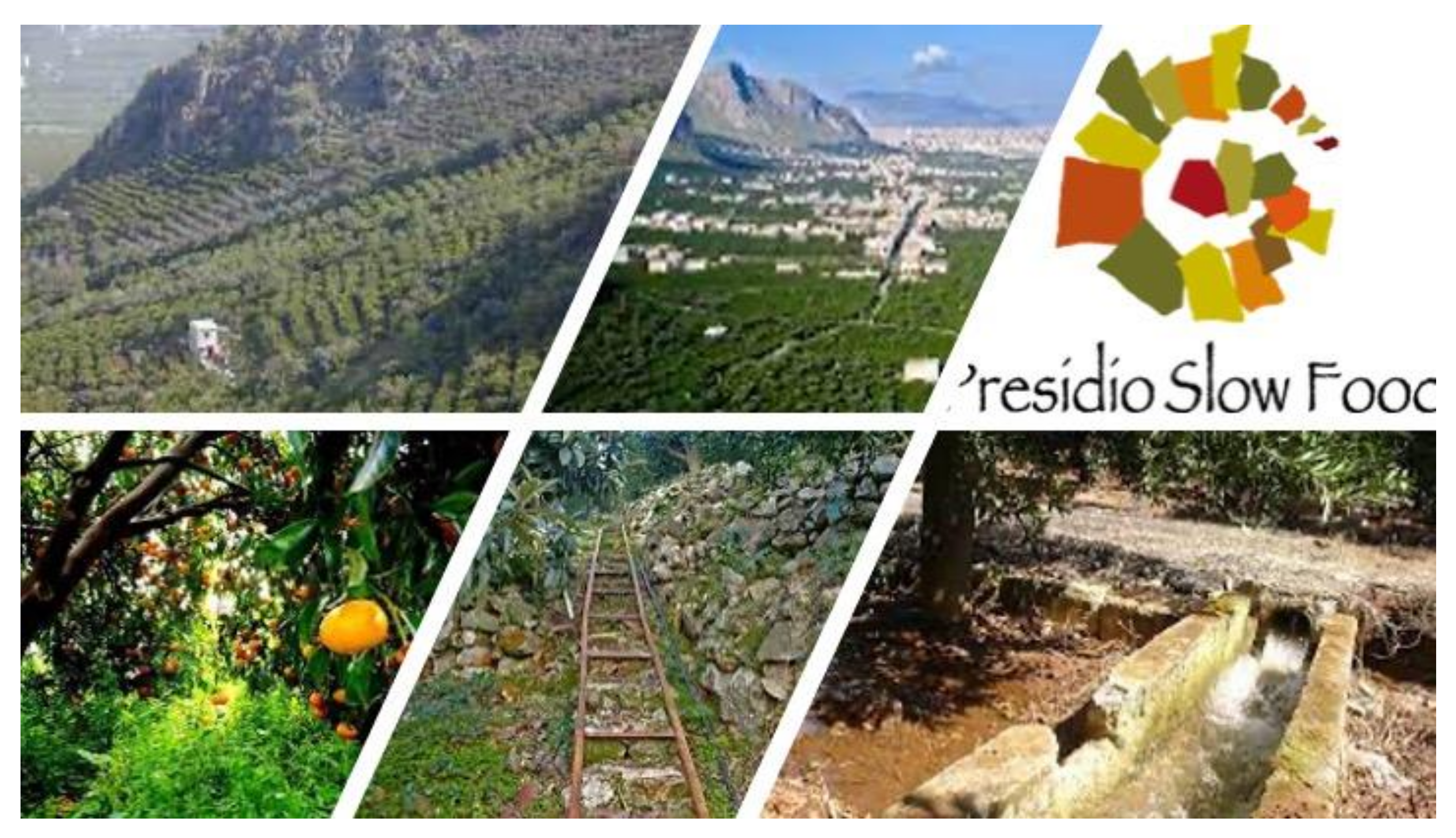 Sustainability 13 08108 g003