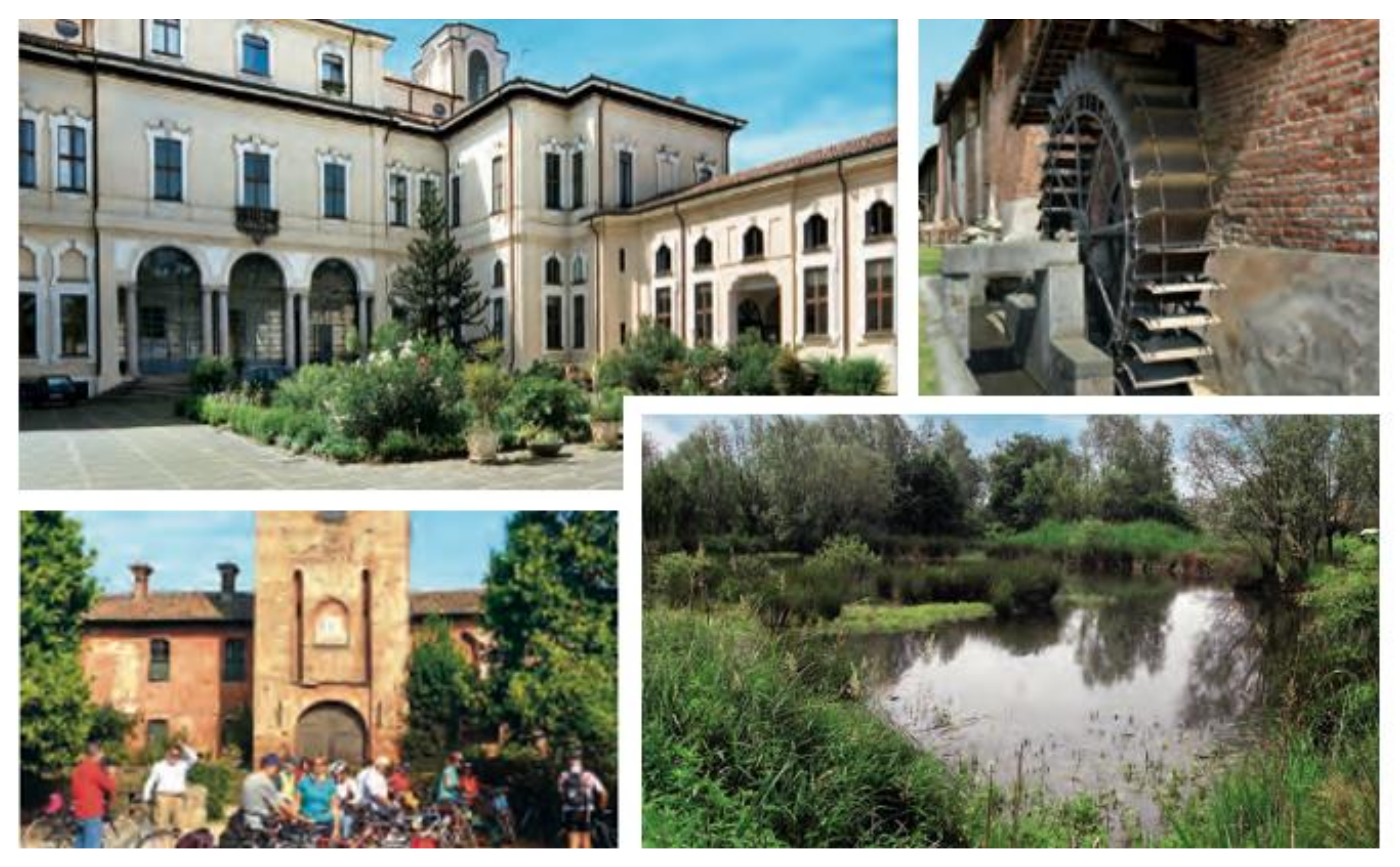 Sustainability 13 08108 g007