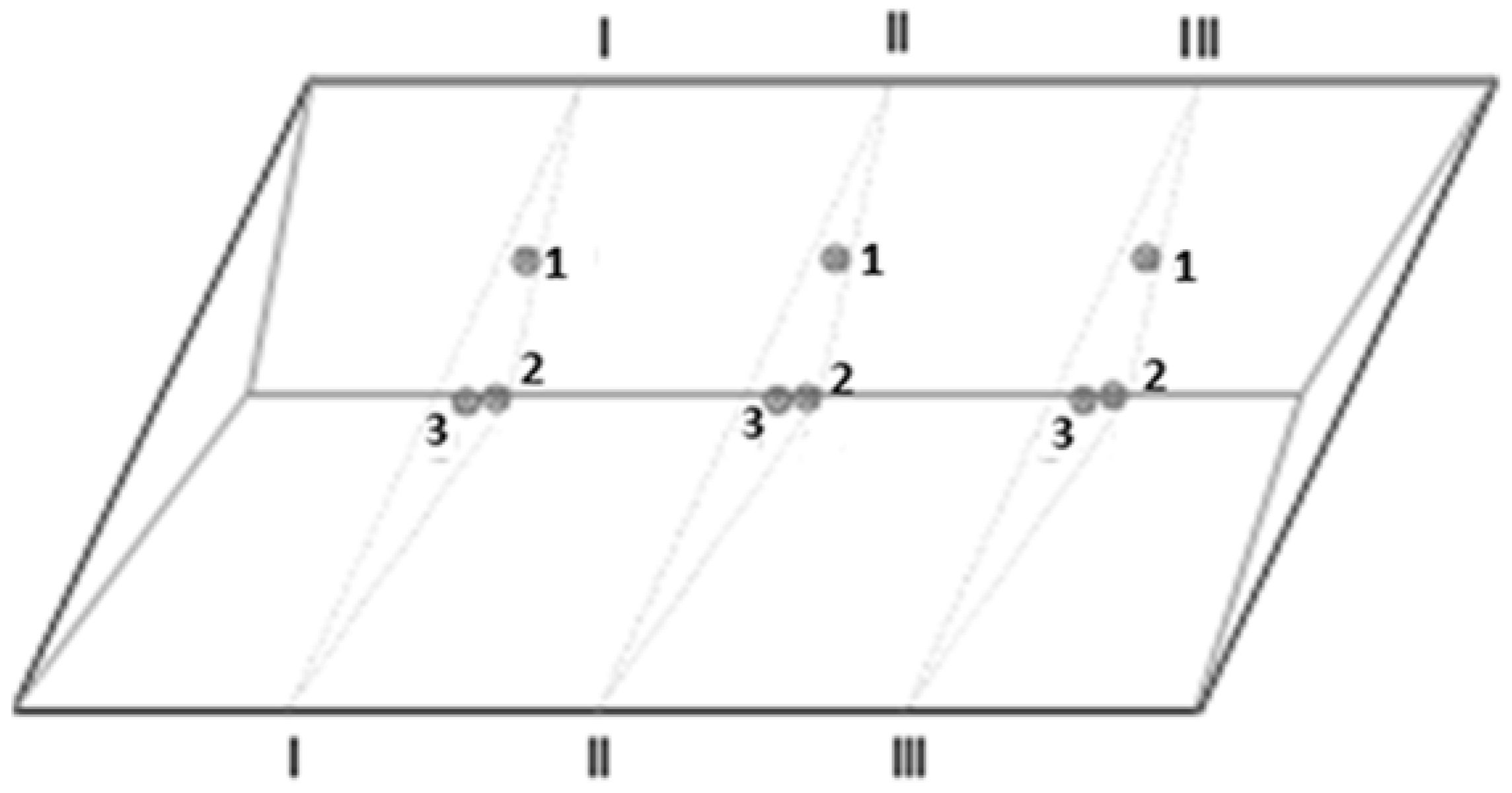 Sustainability 13 08165 g002