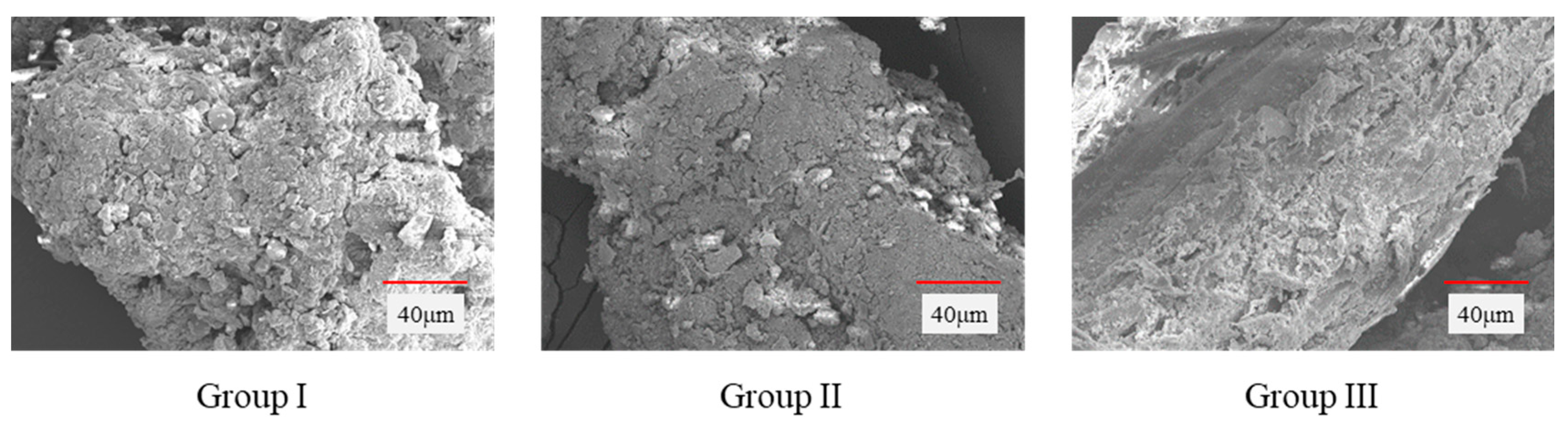 Sustainability 13 08172 g008