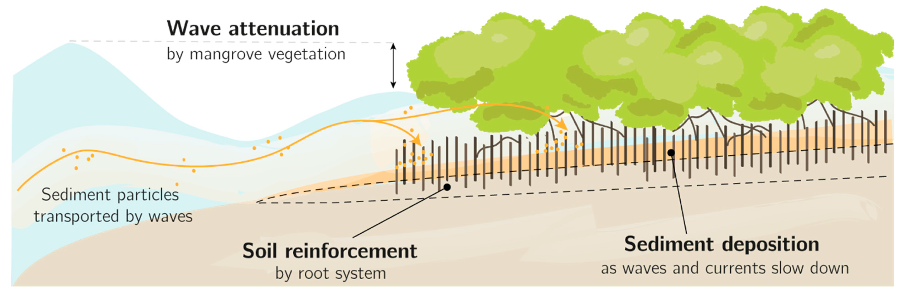 Sustainability | Free Full-Text | Mapping Mangrove Opportunities with Open  Access Data: A Case Study for Bangladesh