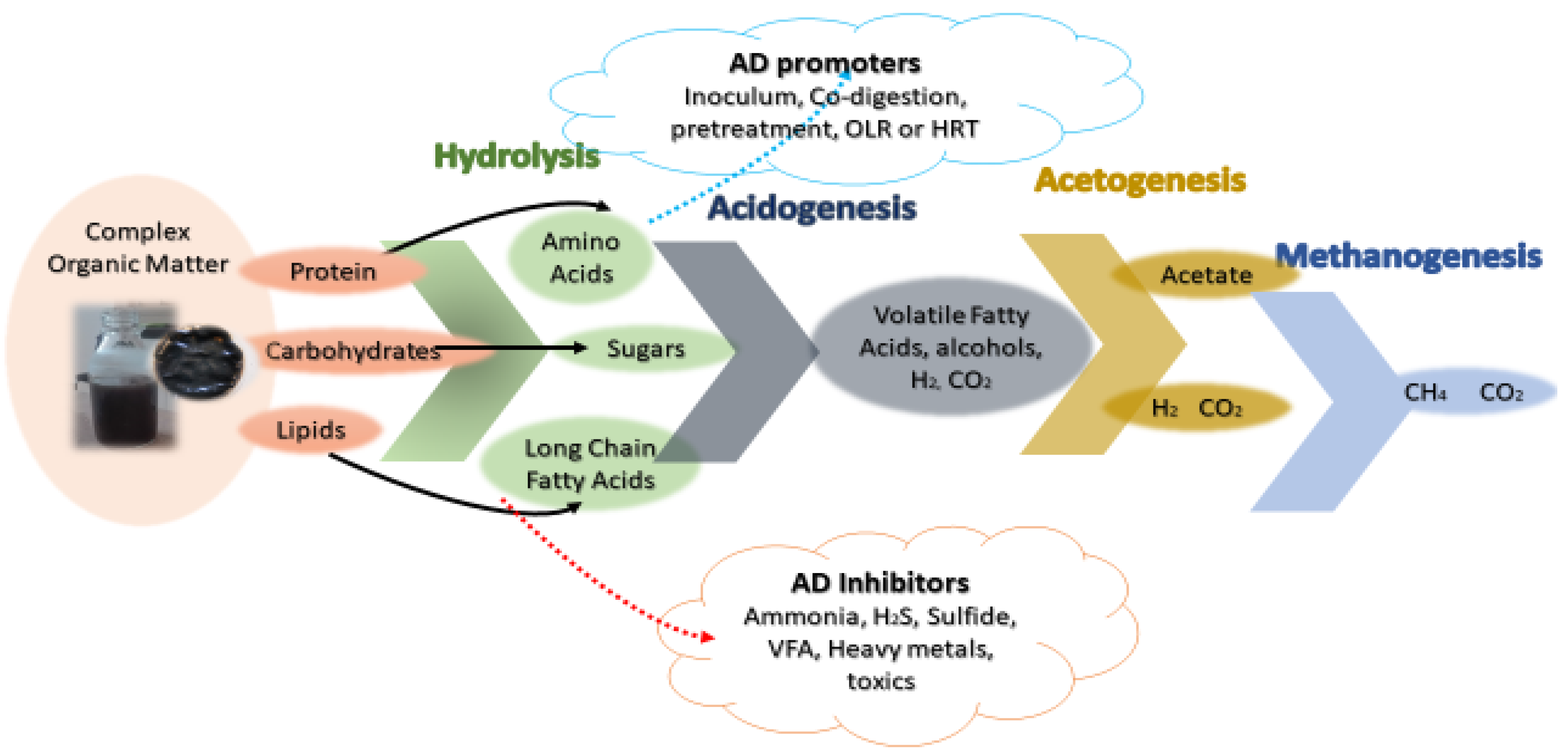 Sustainability 13 08225 g001