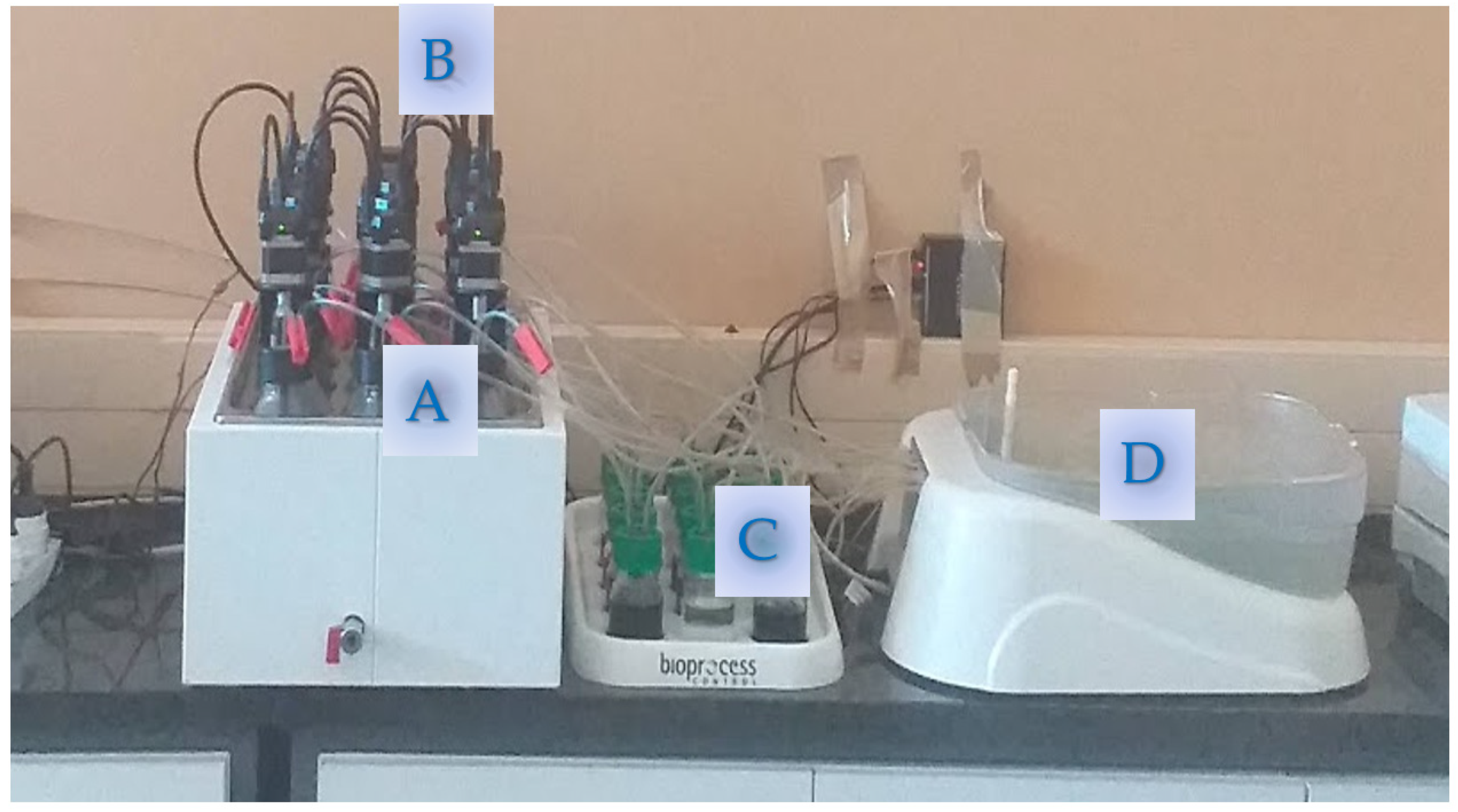 Sustainability 13 08225 g002