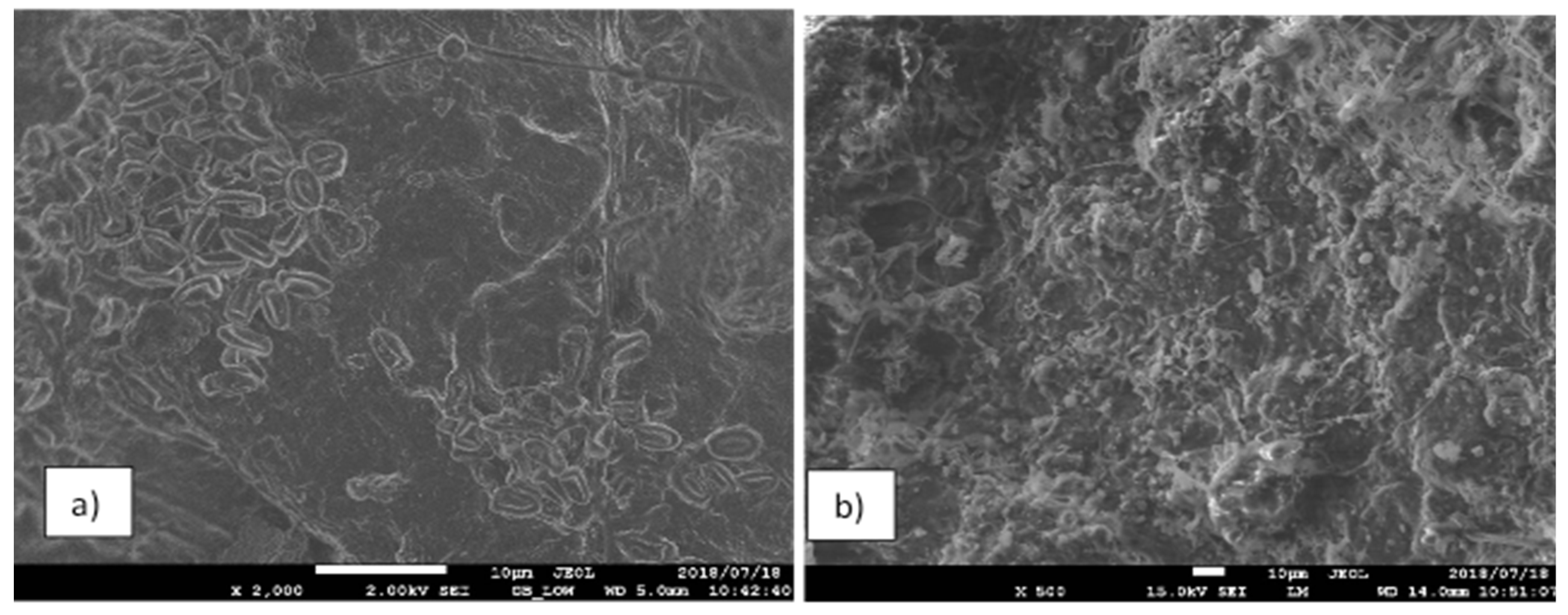 Sustainability 13 08225 g004