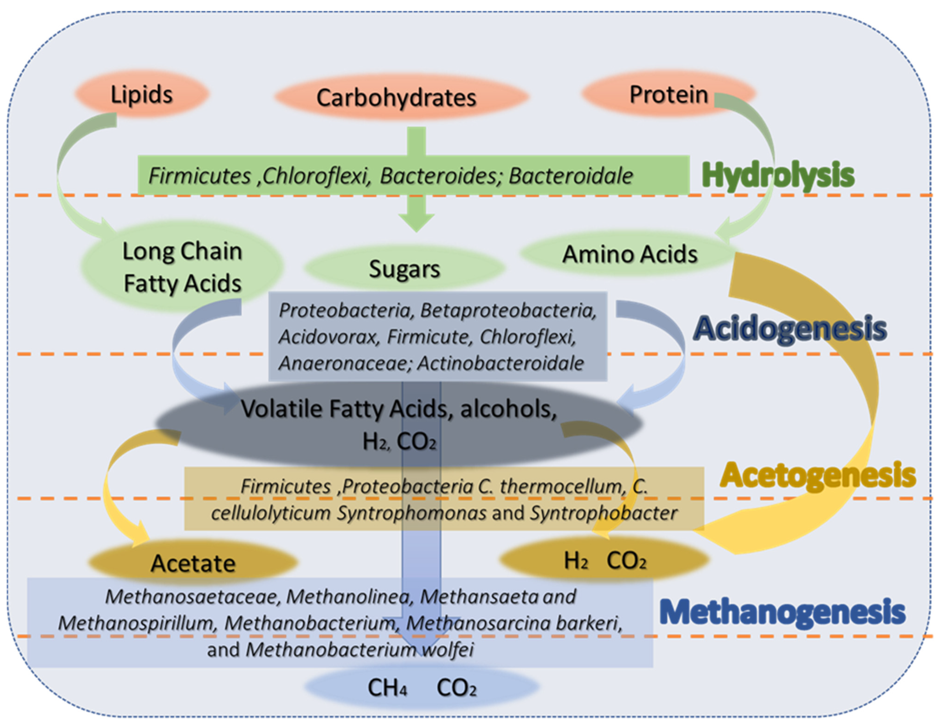 Sustainability 13 08225 g006