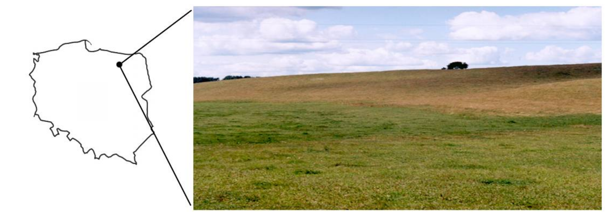 Sustainability 13 08240 g002 Sustainability 13 08240 g002