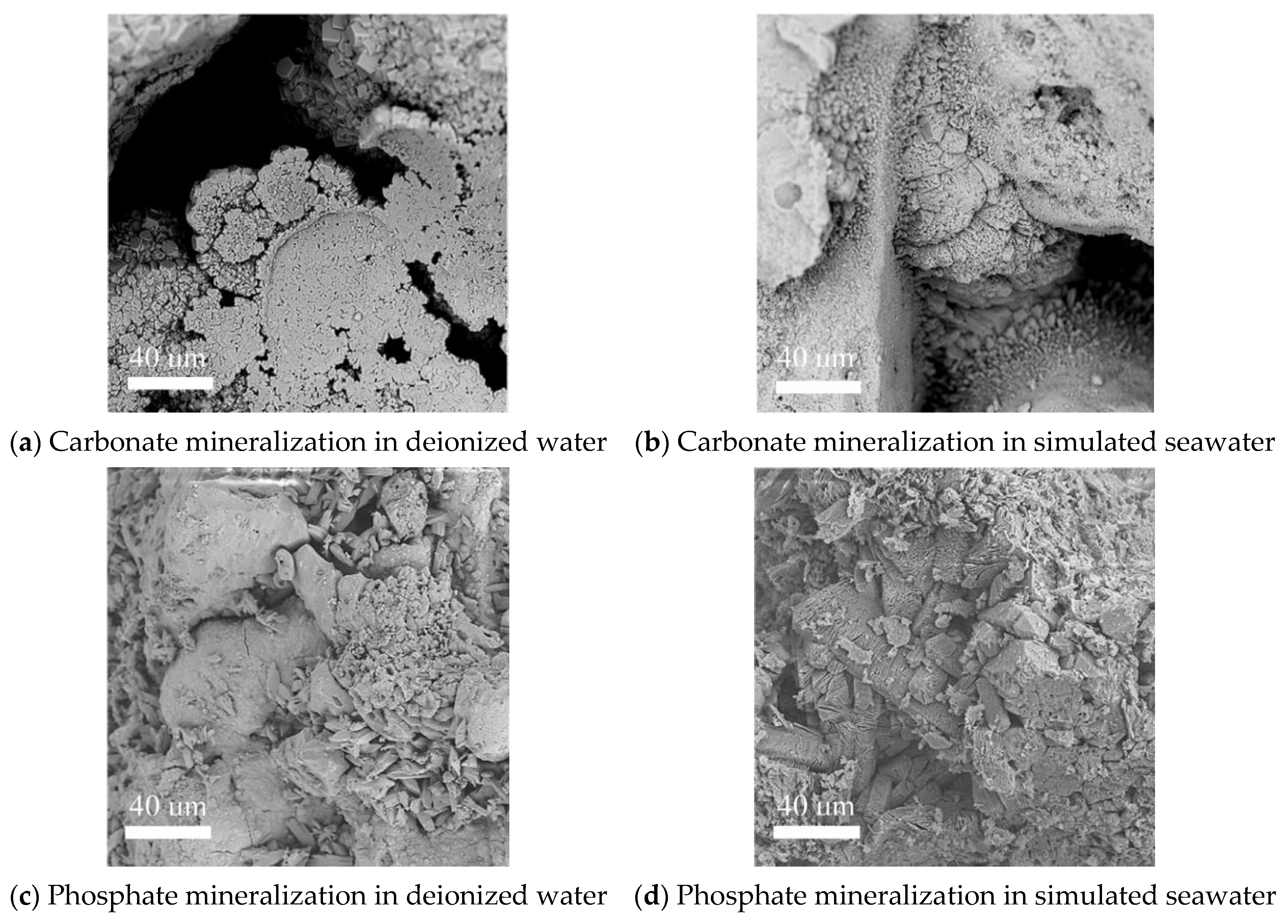 Sustainability 13 08265 g007 550