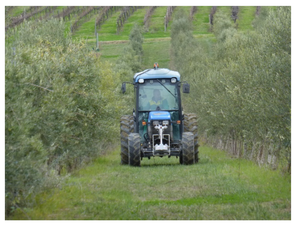 Sustainability 13 08266 g001