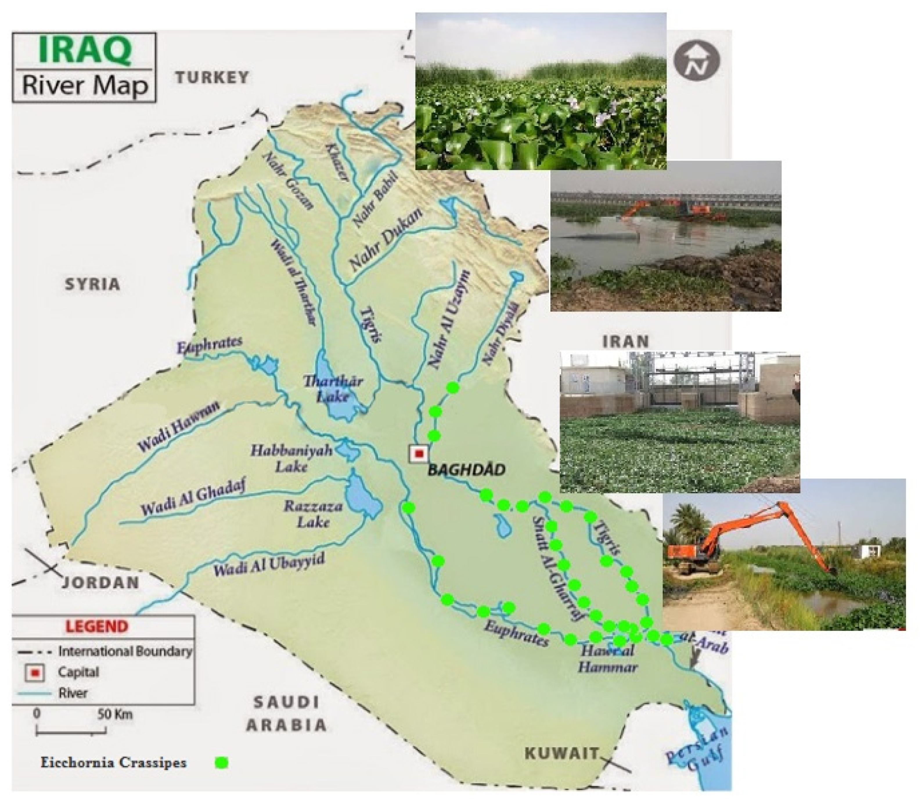 Sustainability 13 08274 g001