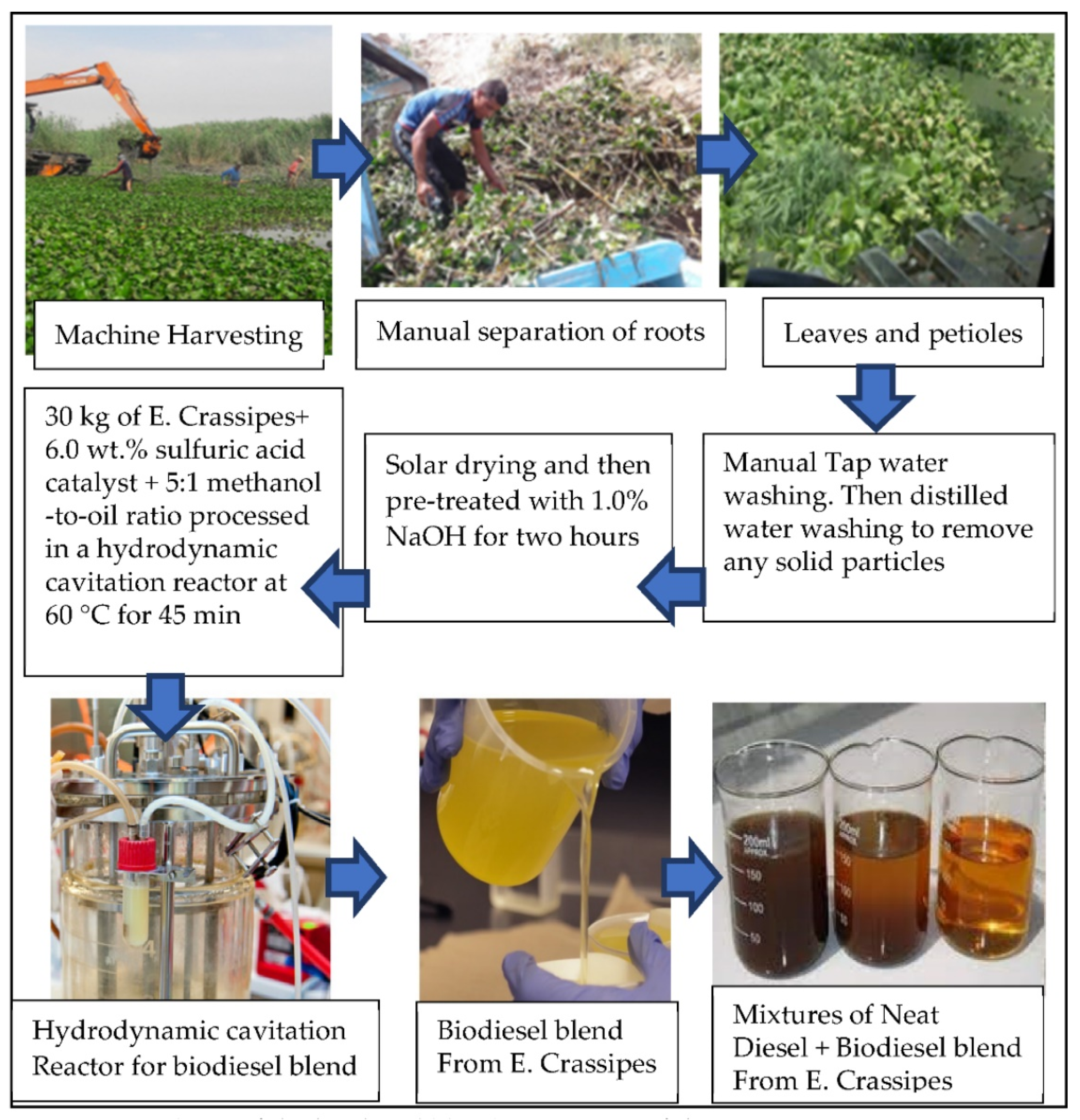 Sustainability 13 08274 g003