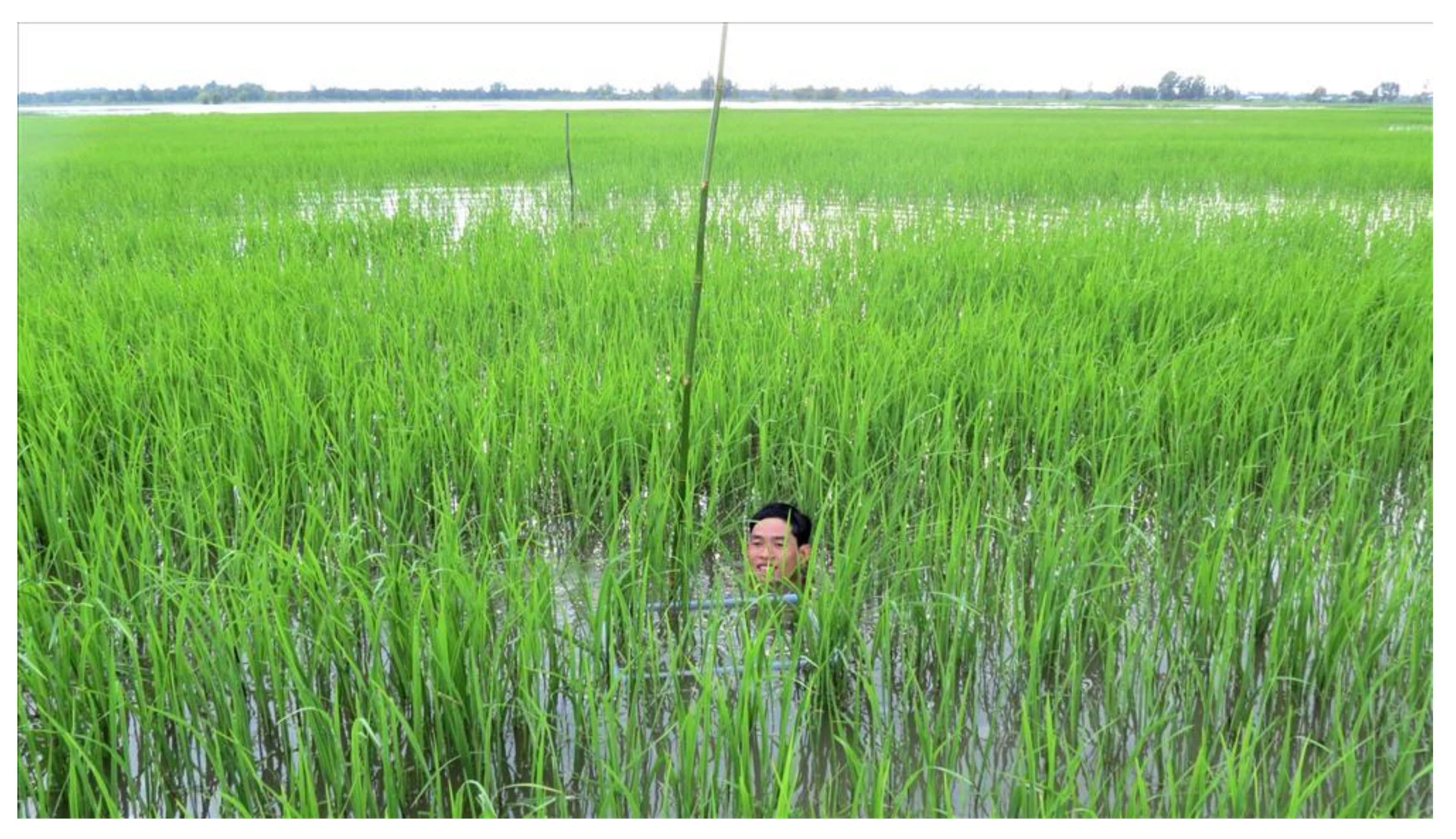 Sustainability 13 08354 g0a1 Sustainability 13 08354 g0a1