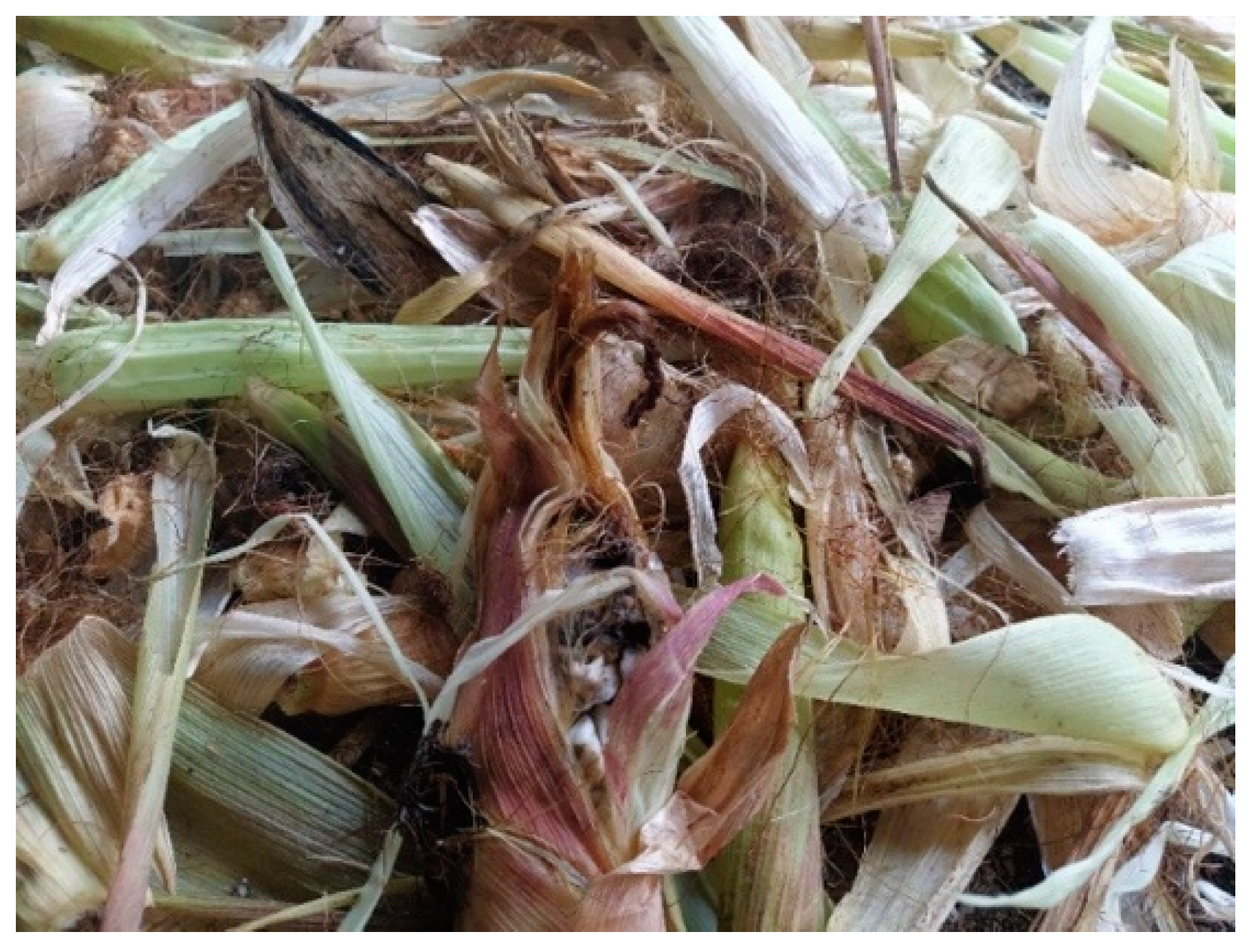 Sustainability 13 08356 g003 Sustainability 13 08356 g003