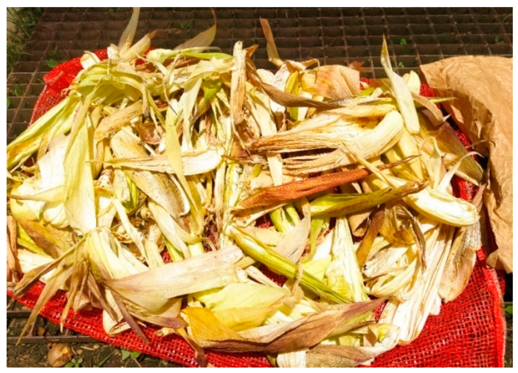 Sustainability 13 08356 g004 Sustainability 13 08356 g004