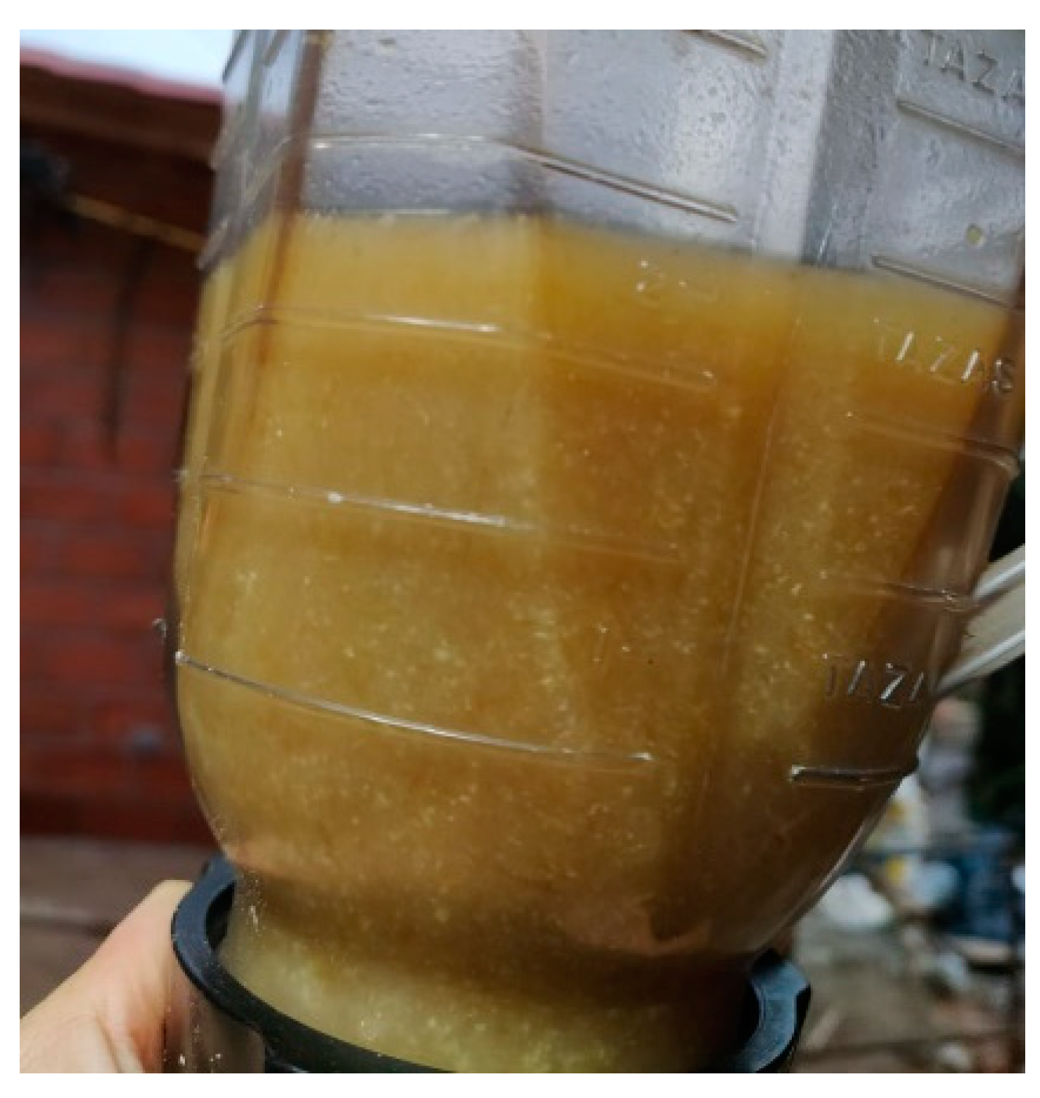 Sustainability 13 08356 g009 Sustainability 13 08356 g009